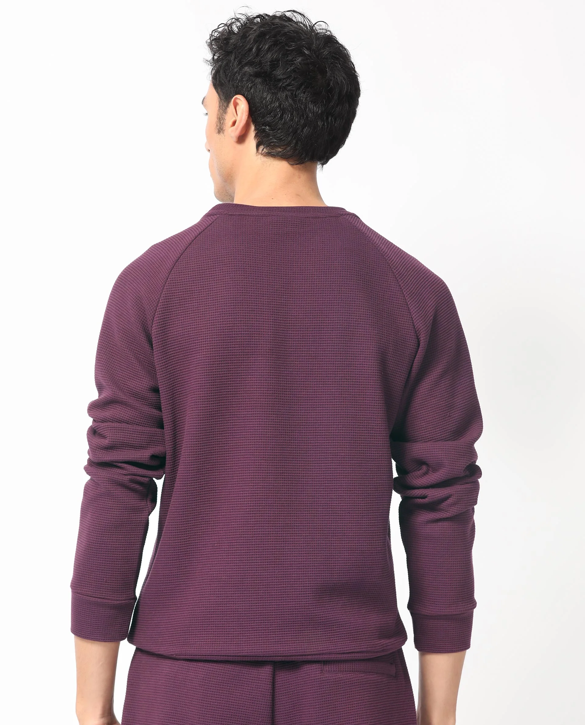 Rare Rabbit Men's Sven Purple Cotton Plain Regular Fit Full Sleeve Crew Neck Sweatshirt - Image 10