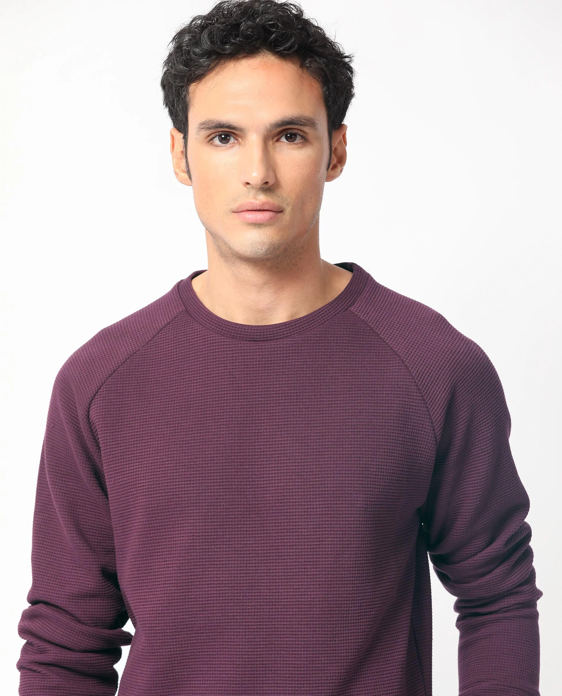 Rare Rabbit Men's Sven Purple Cotton Plain Regular Fit Full Sleeve Crew Neck Sweatshirt - Image 2