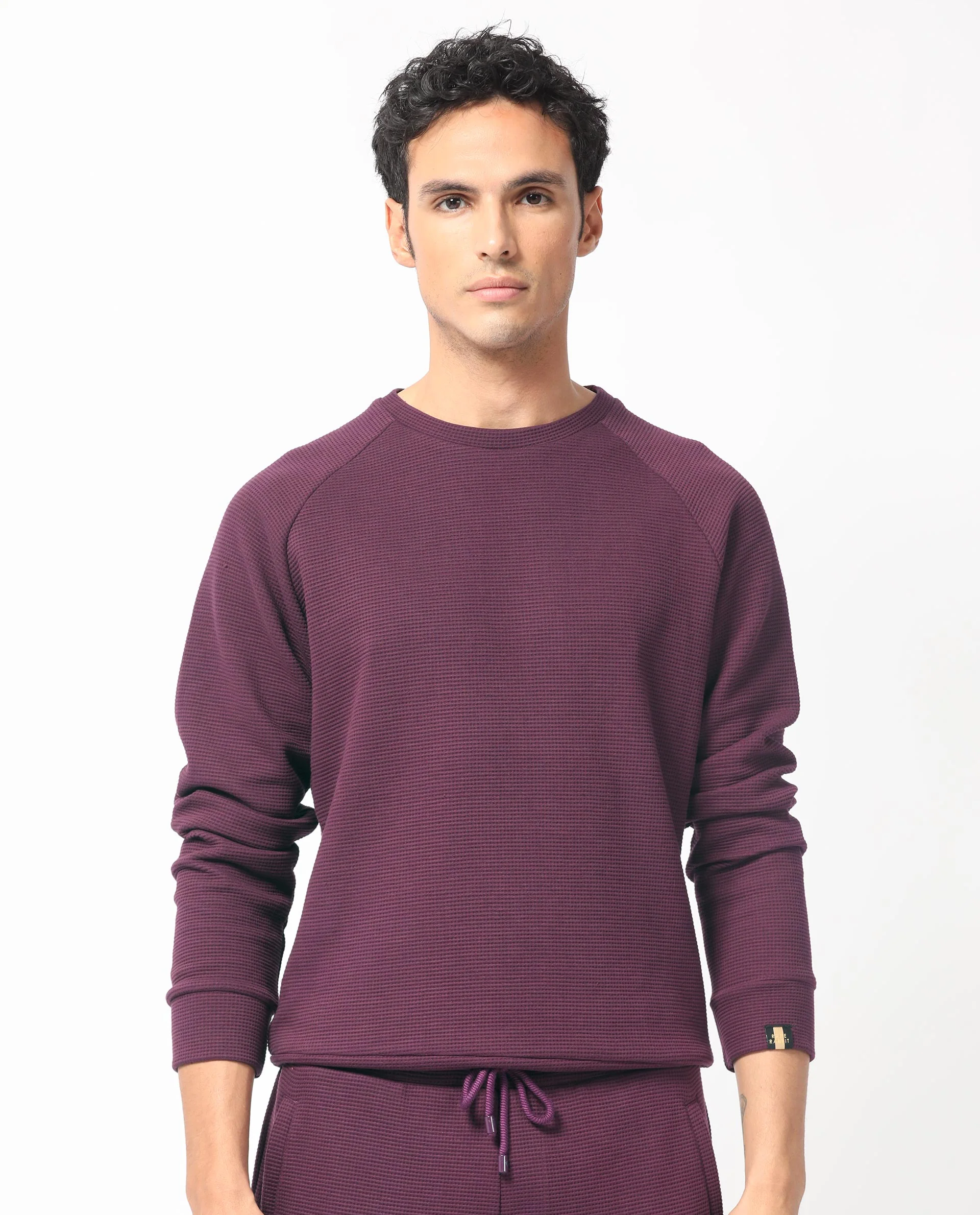 Rare Rabbit Men's Sven Purple Cotton Plain Regular Fit Full Sleeve Crew Neck Sweatshirt - Image 5