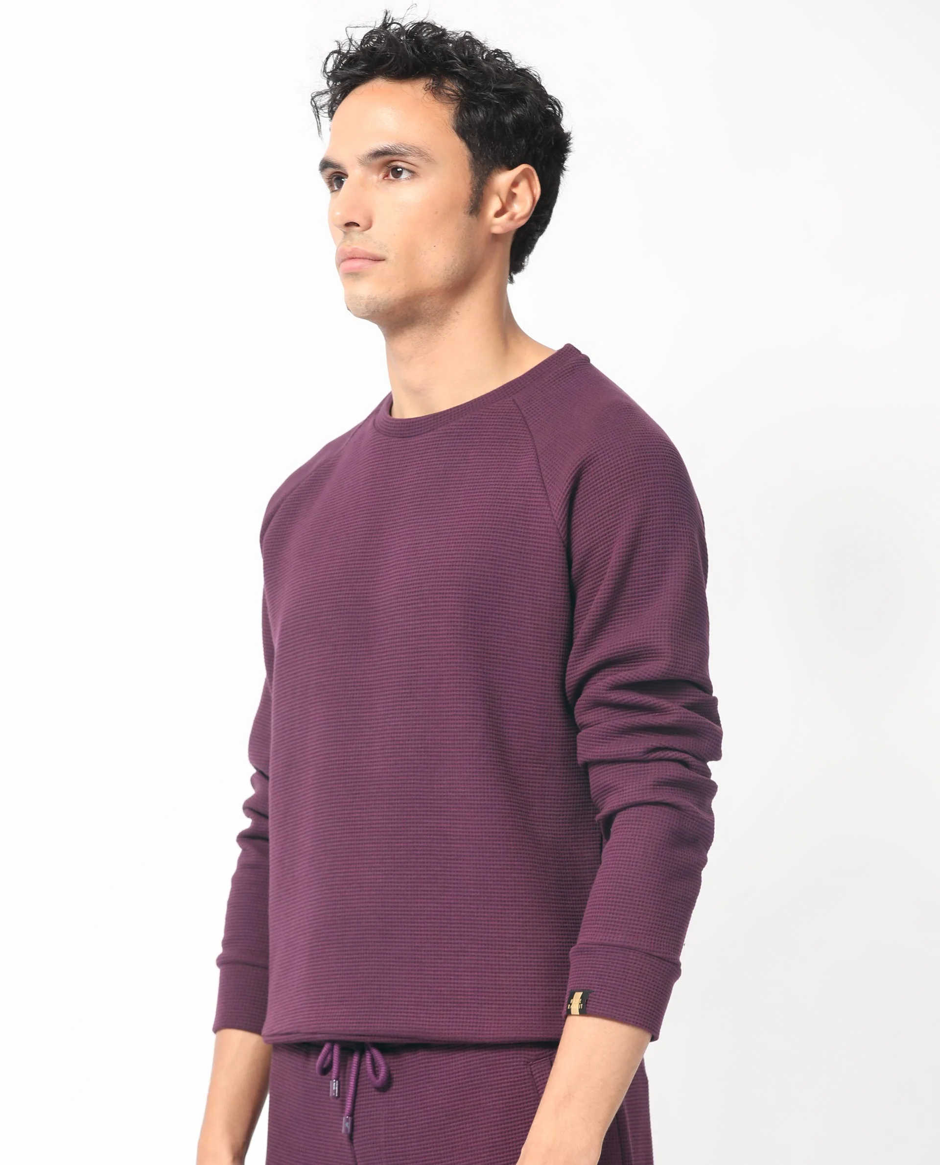 Rare Rabbit Men's Sven Purple Cotton Plain Regular Fit Full Sleeve Crew Neck Sweatshirt - Image 6