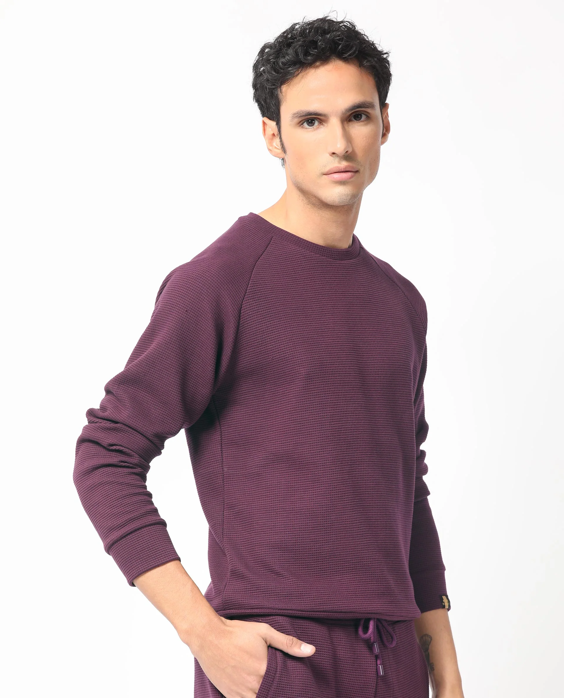 Rare Rabbit Men's Sven Purple Cotton Plain Regular Fit Full Sleeve Crew Neck Sweatshirt - Image 7