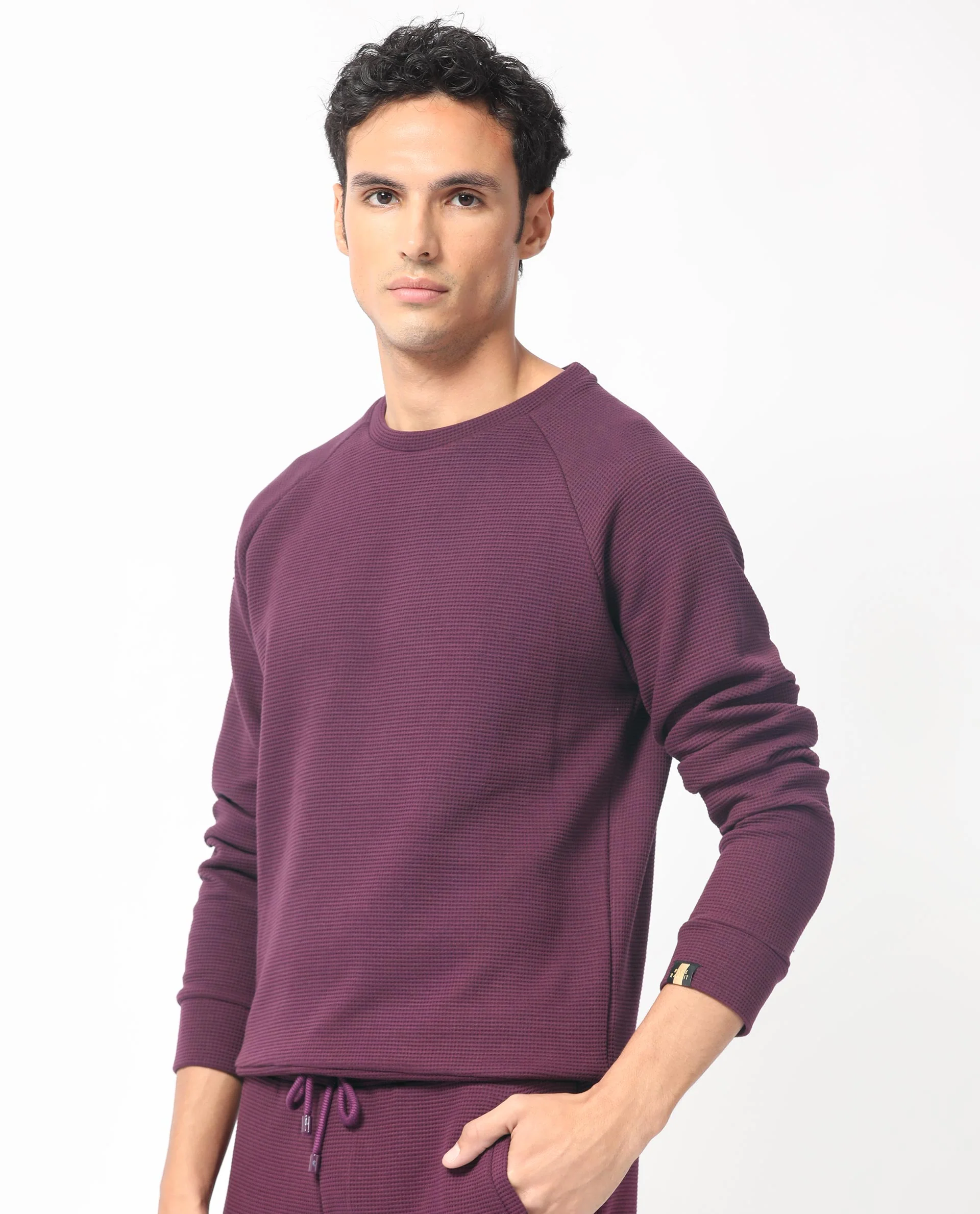 Rare Rabbit Men's Sven Purple Cotton Plain Regular Fit Full Sleeve Crew Neck Sweatshirt - Image 8
