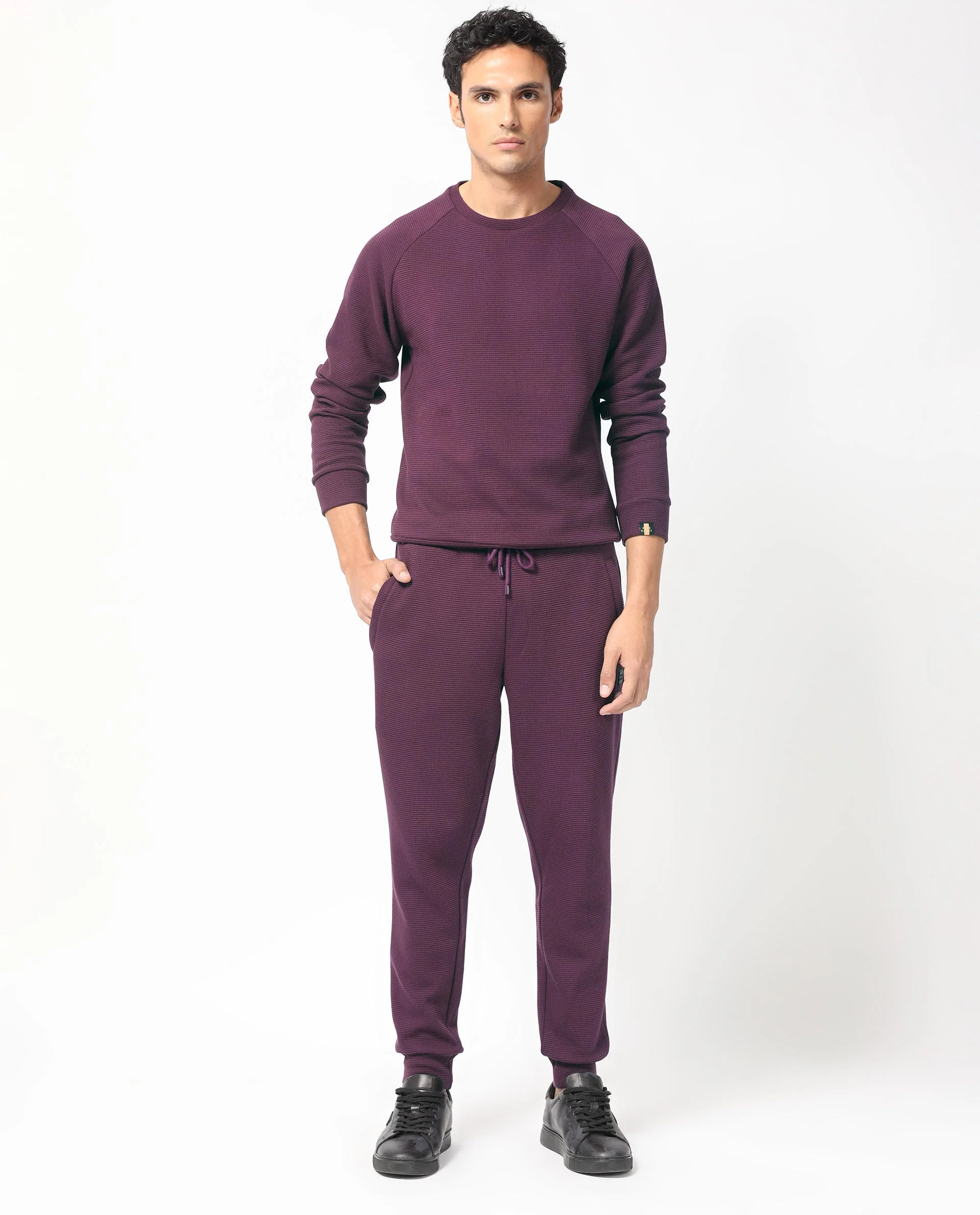 Rare Rabbit Men's Sven Purple Cotton Plain Regular Fit Full Sleeve Crew Neck Sweatshirt - Image 9
