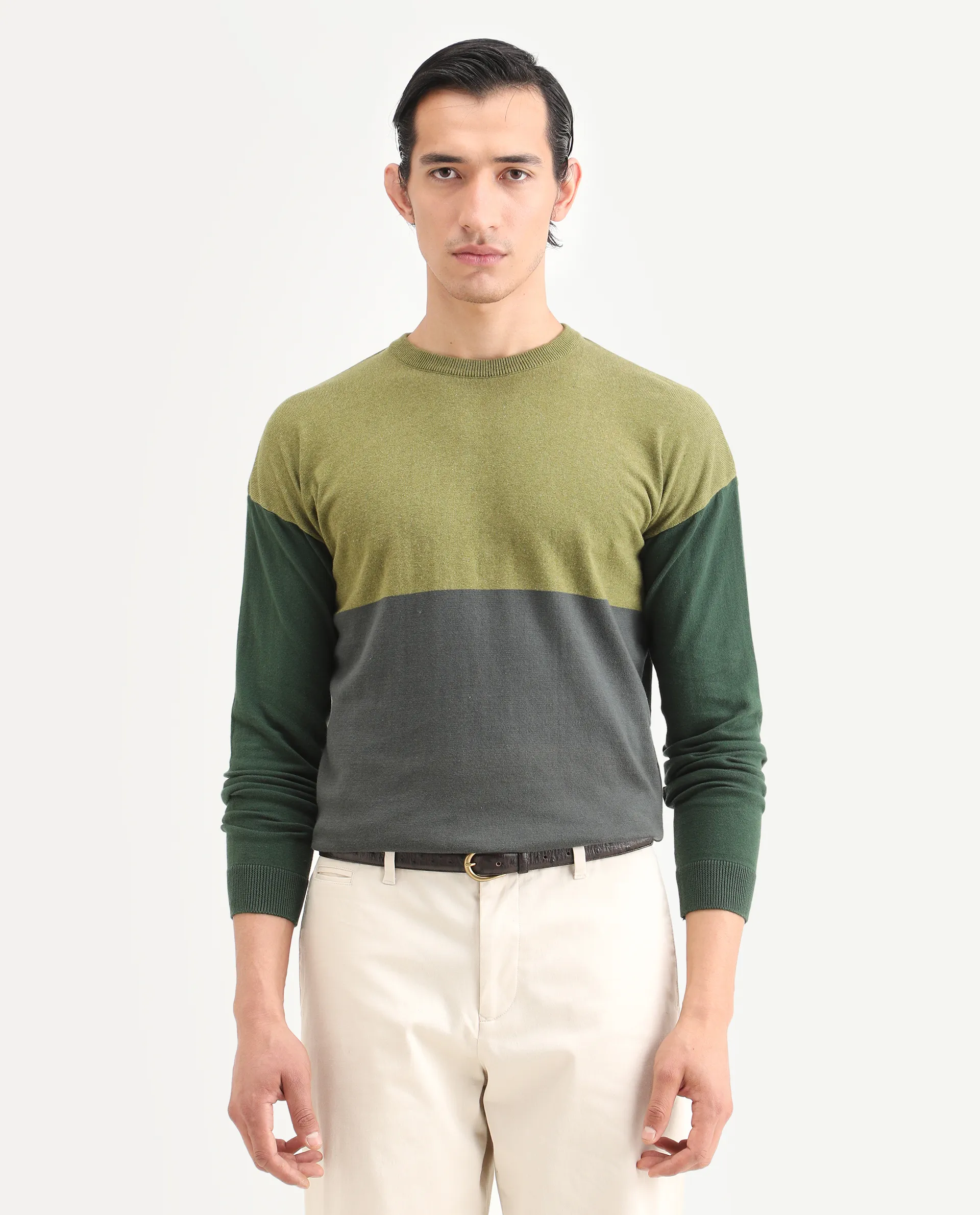 Rare Rabbit Men's Tanko Green Cotton Ombre Relaxed Fit Full Sleeve Crew Neck Sweater - Image 3