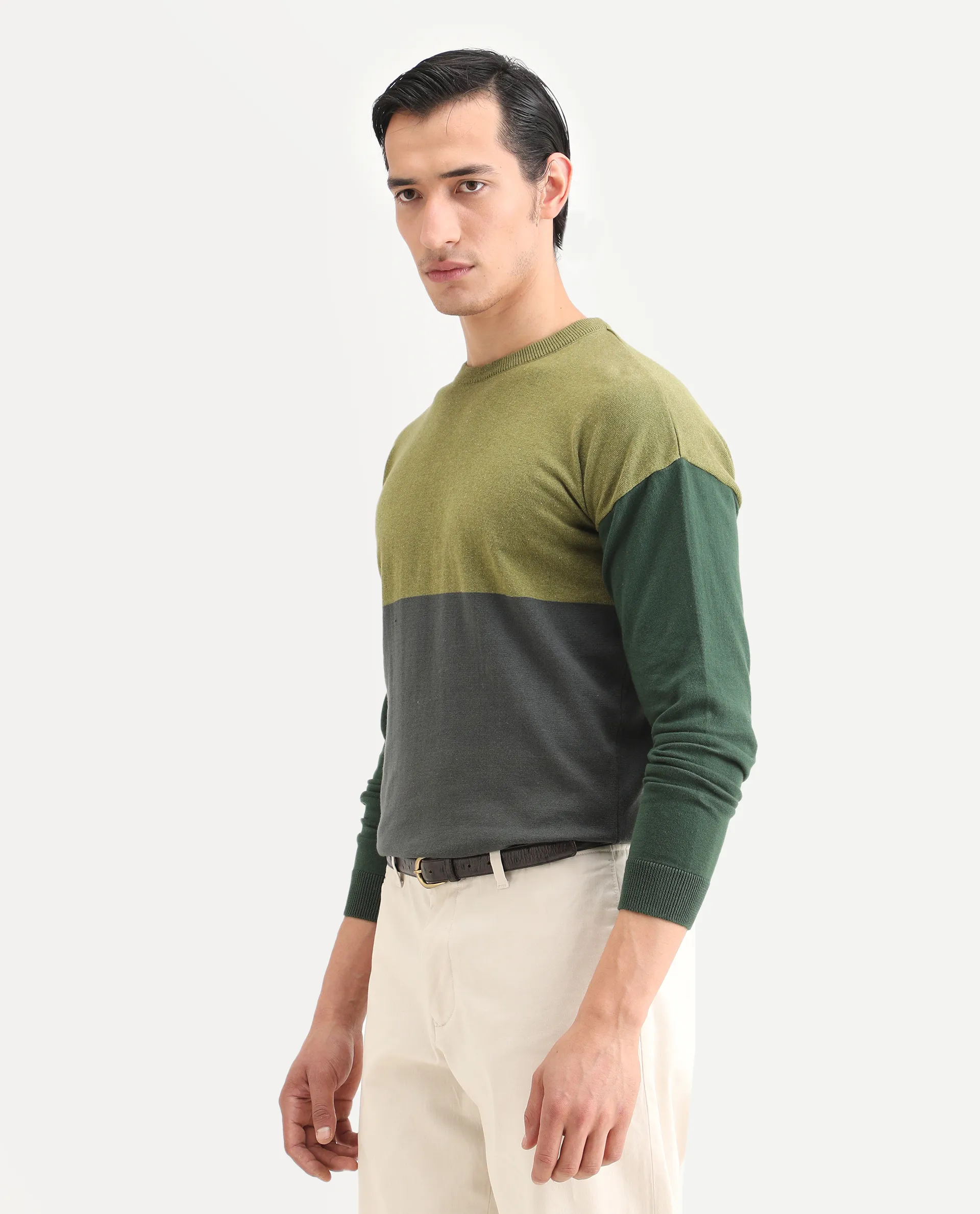 Rare Rabbit Men's Tanko Green Cotton Ombre Relaxed Fit Full Sleeve Crew Neck Sweater - Image 5