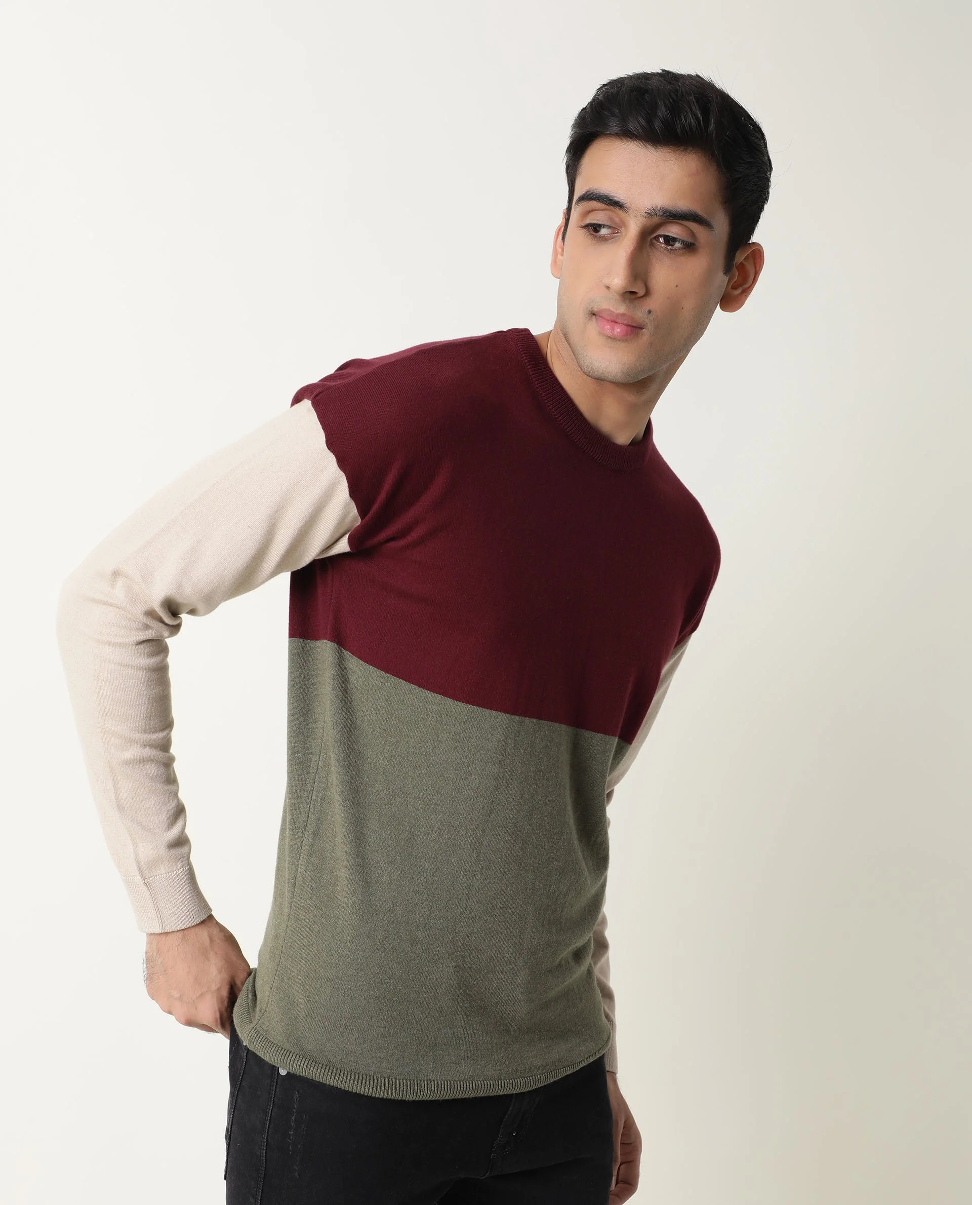 Rare Rabbit Men's Tanko Maroon Cotton Color Block Relaxed Fit Full Sleeve Crew Neck Sweater - Image 6