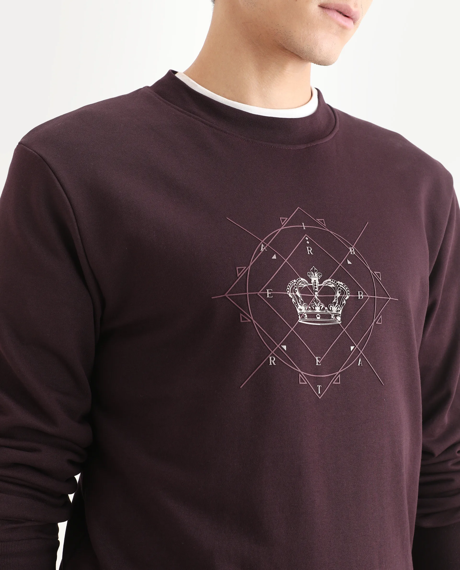 Rare Rabbit Men's Tarol Dark Brown Cotton Blend Graphic Print Boxy Fit Full Sleeve Crew Neck Sweatshirt - Image 3