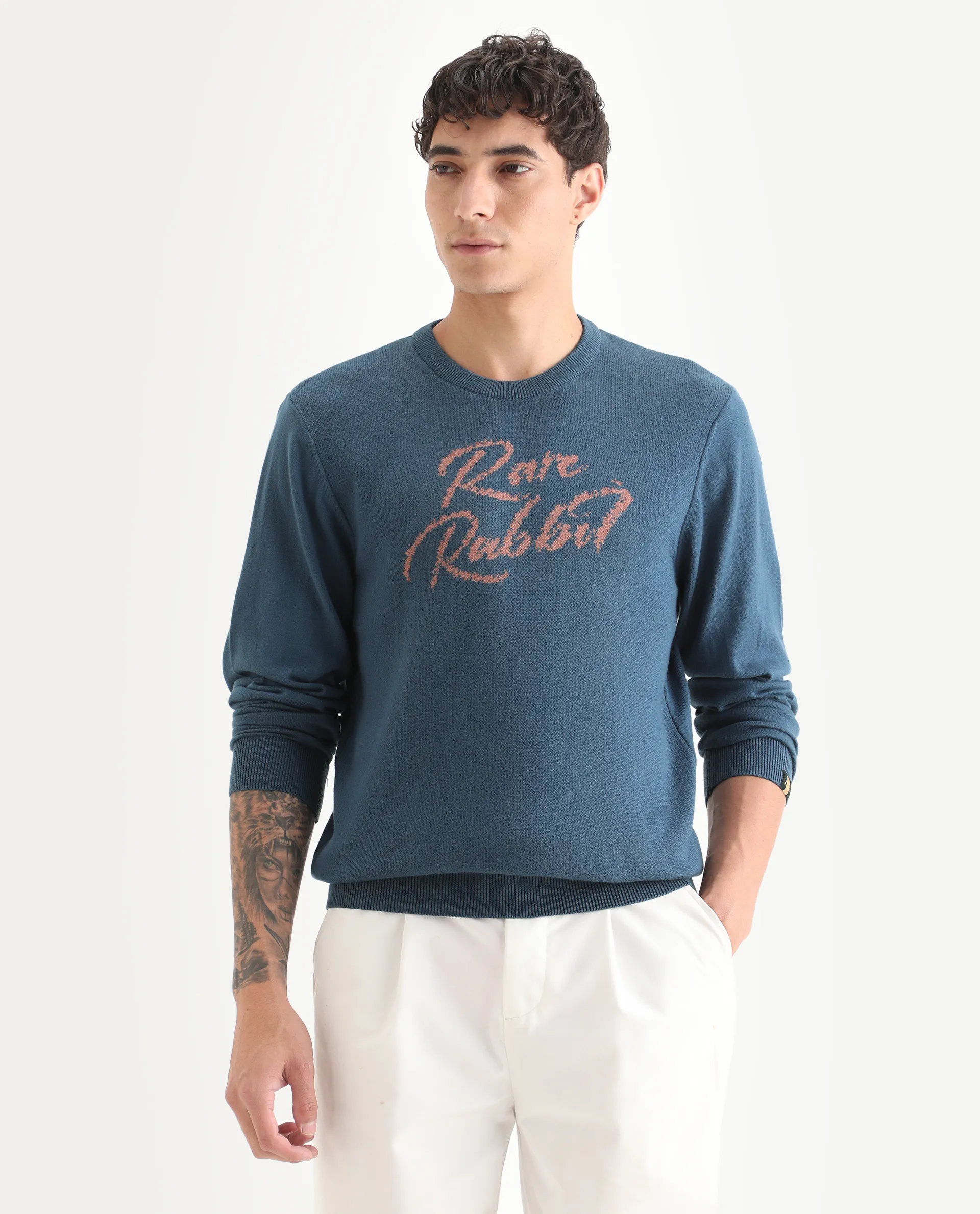 Rare Rabbit Men's Teedo Navy Jacquard Slim Fit Full Sleeve Crew Neck Sweater - Image 5