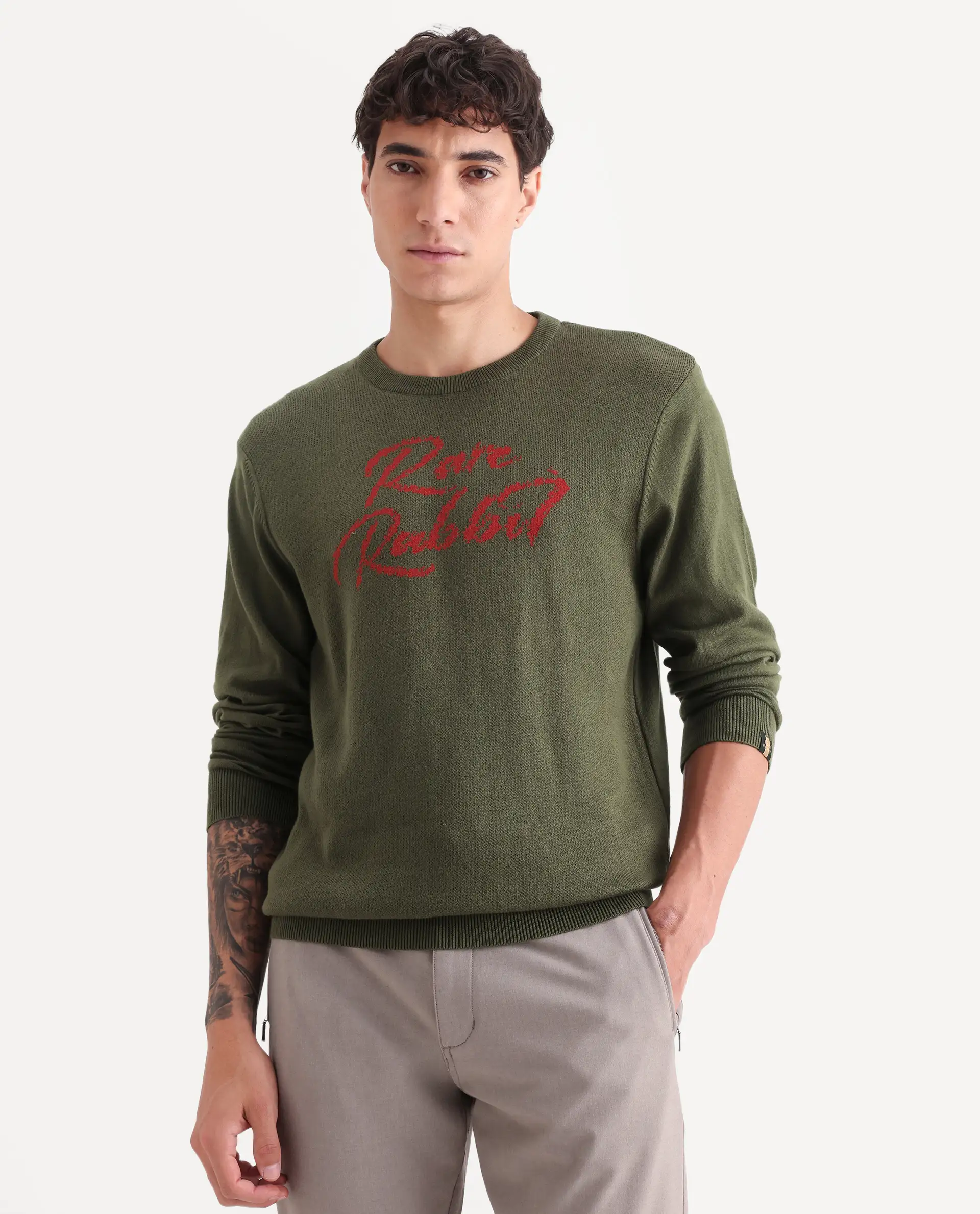Rare Rabbit Men's Teedo Olive Jacquard Slim Fit Full Sleeve Crew Neck Sweater - Image 3