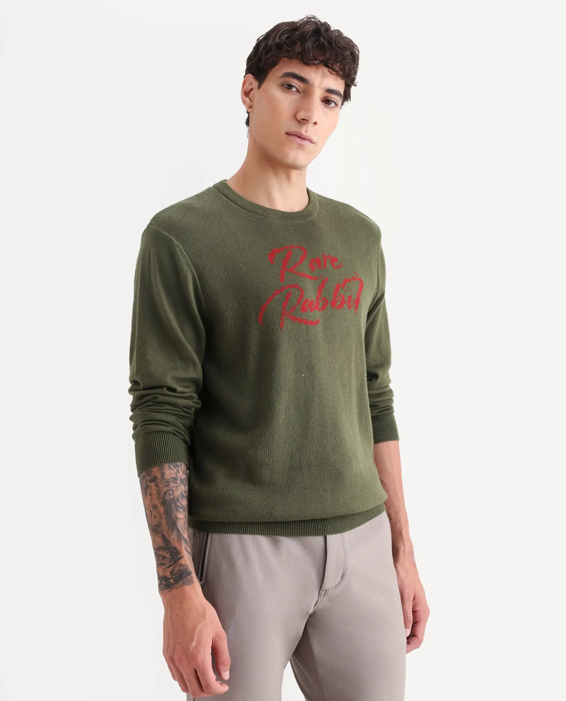 Rare Rabbit Men's Teedo Olive Jacquard Slim Fit Full Sleeve Crew Neck Sweater - Image 6