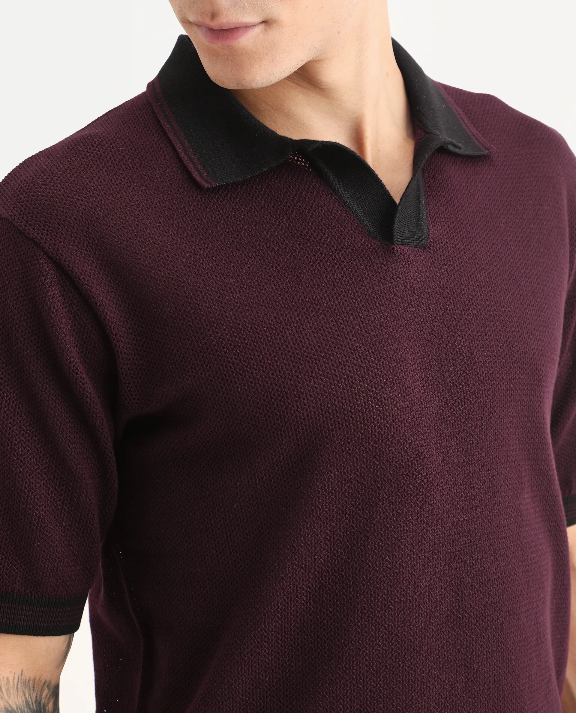 Rare Rabbit Men's Tipo Pastel Maroon Cotton Fabric Half Sleeve Regular Fit Textured Polo - Image 3