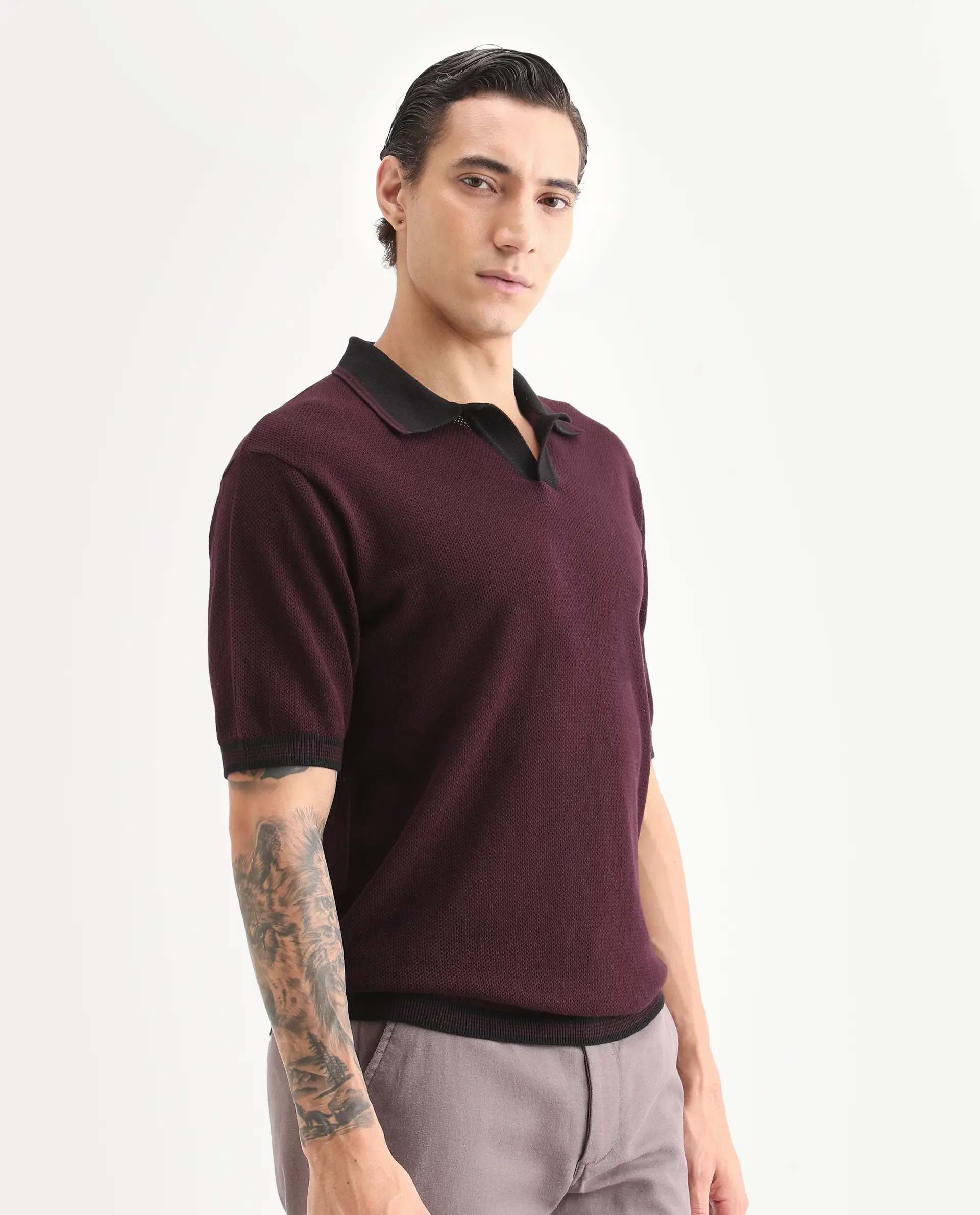 Rare Rabbit Men's Tipo Pastel Maroon Cotton Fabric Half Sleeve Regular Fit Textured Polo - Image 6
