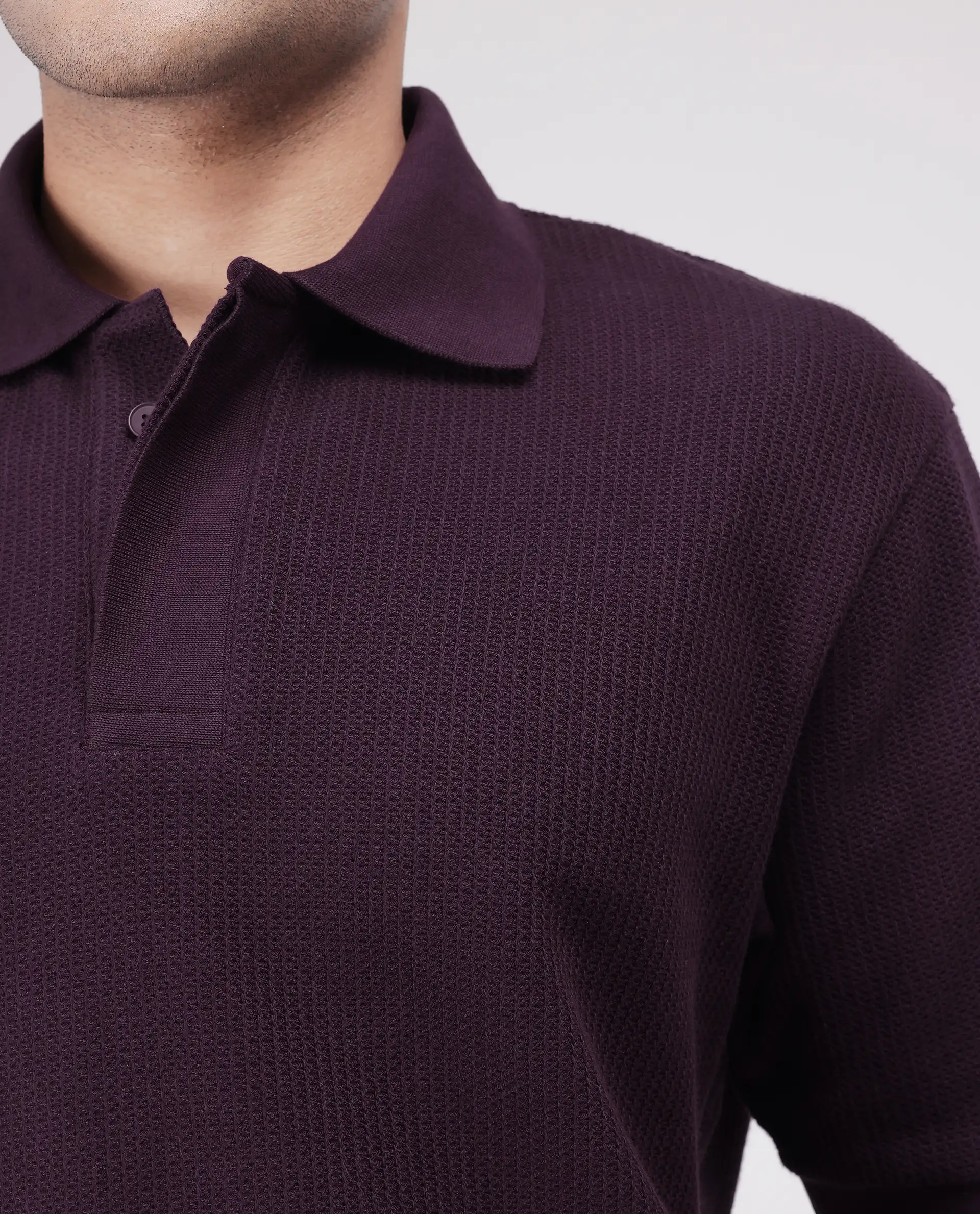 Rare Rabbit Men's Tom Dark Purple Cotton Textured Oversized Fit Half Sleeve Polo - Image 3