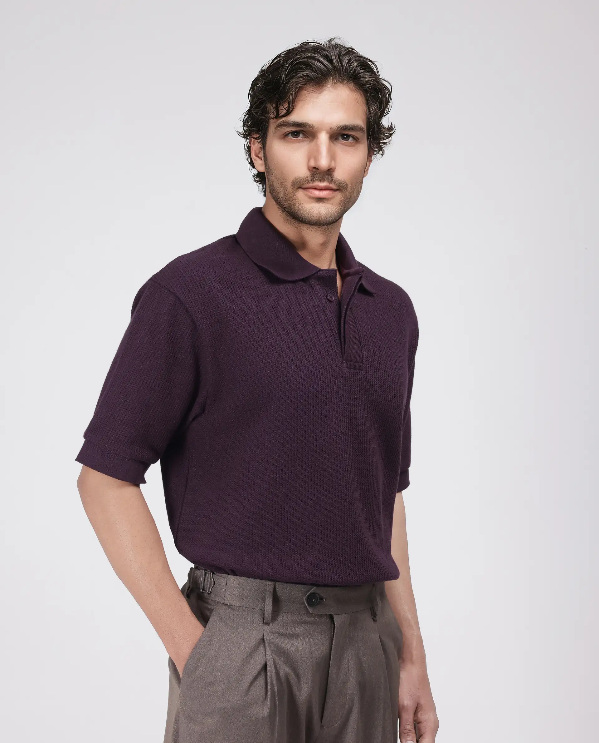 Rare Rabbit Men's Tom Dark Purple Cotton Textured Oversized Fit Half Sleeve Polo - Image 5