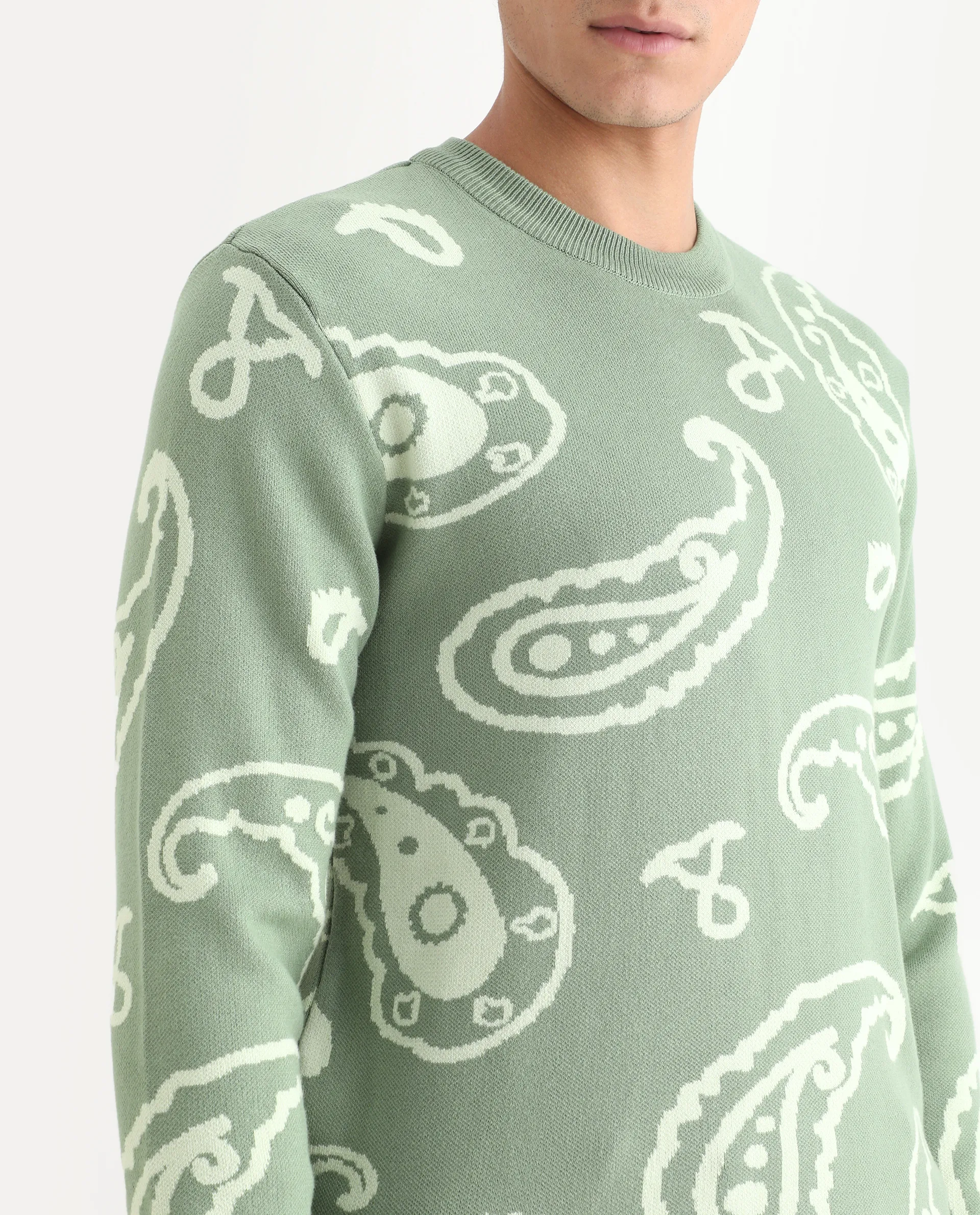 Rare Rabbit Men's Tori Light Green Viscose Jacquard Relaxed Fit Full Sleeve Crew Neck Sweater - Image 3