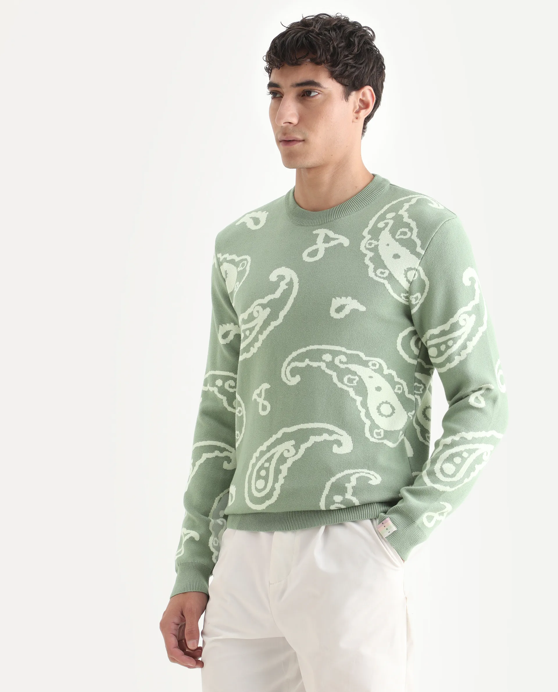 Rare Rabbit Men's Tori Light Green Viscose Jacquard Relaxed Fit Full Sleeve Crew Neck Sweater - Image 4