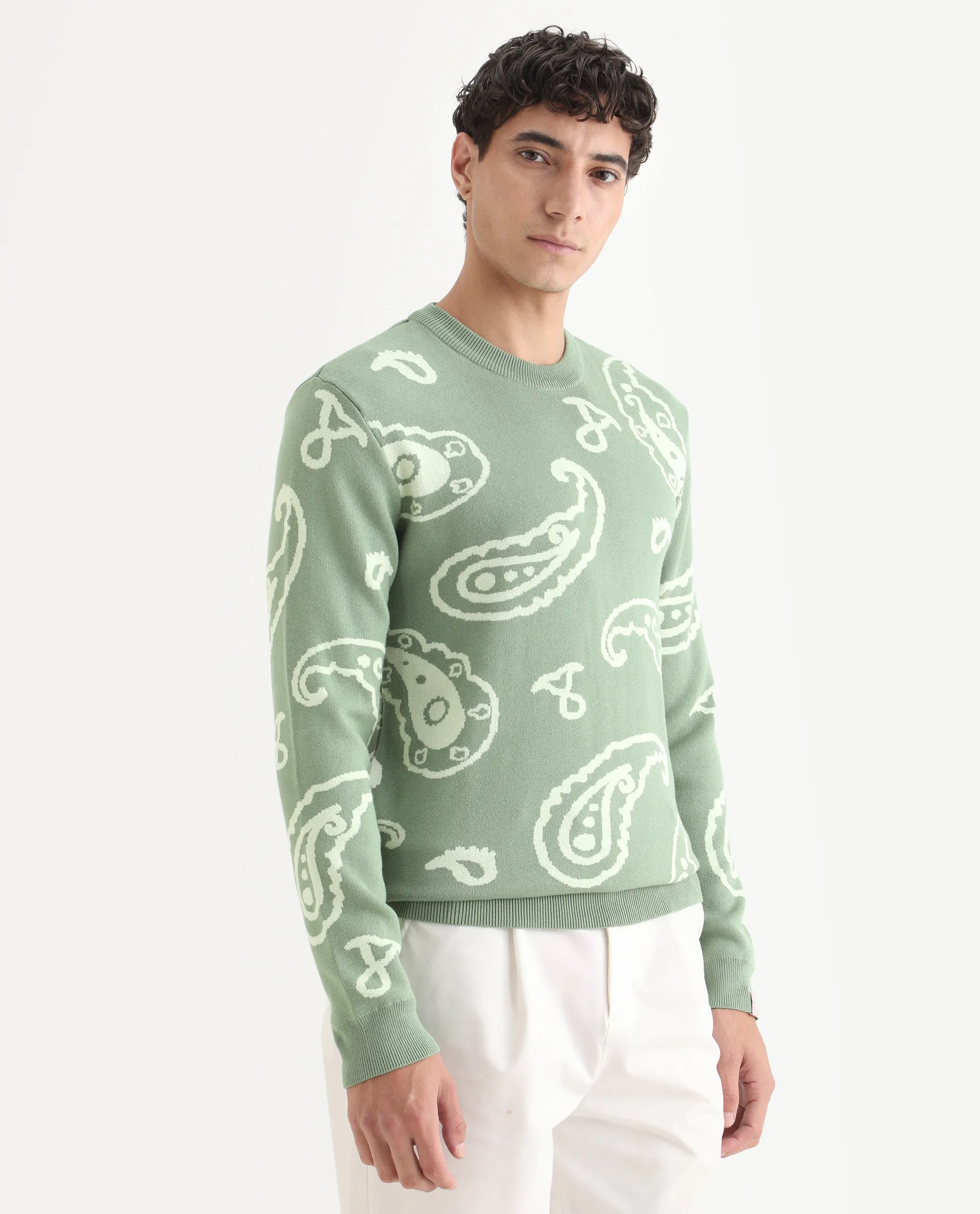 Rare Rabbit Men's Tori Light Green Viscose Jacquard Relaxed Fit Full Sleeve Crew Neck Sweater - Image 5