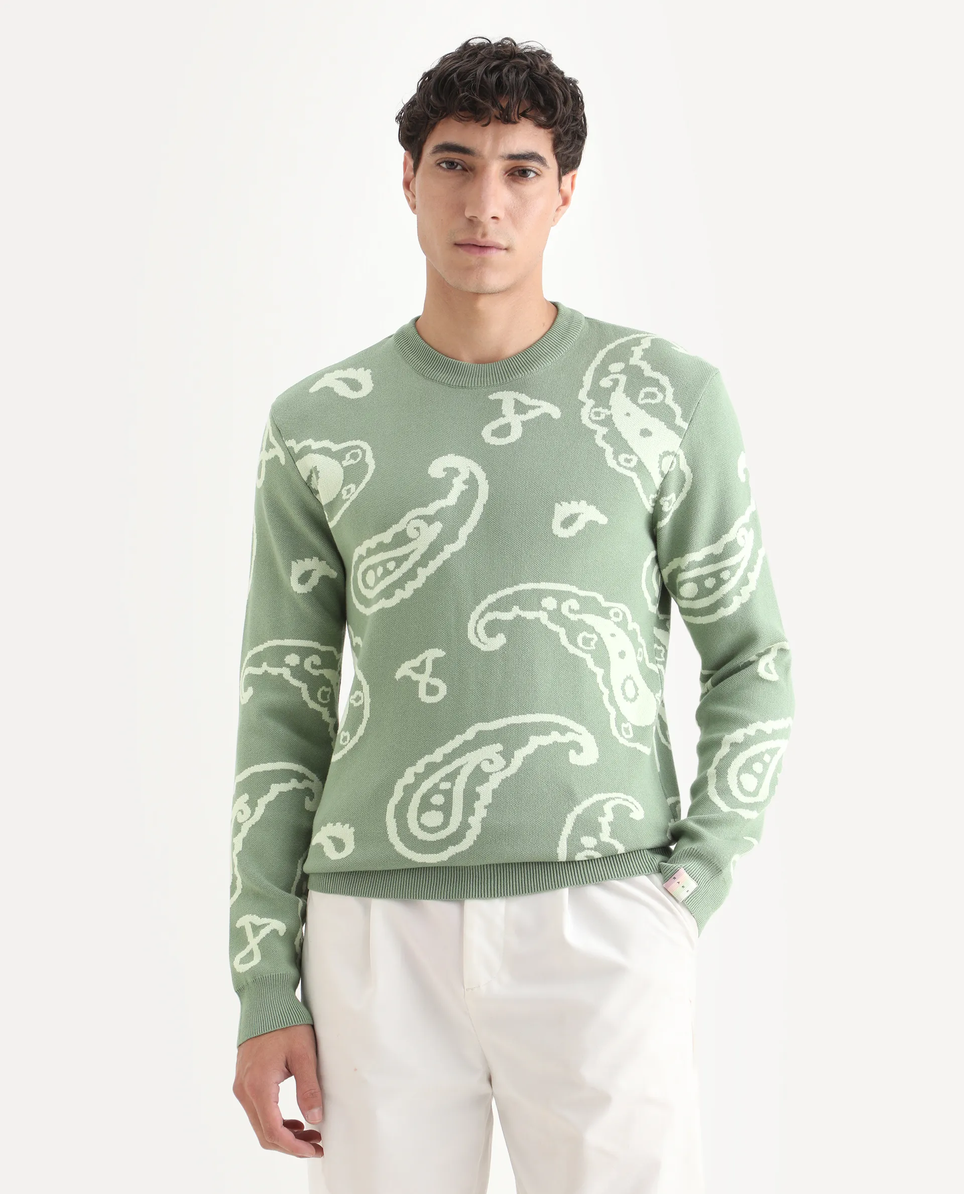 Rare Rabbit Men's Tori Light Green Viscose Jacquard Relaxed Fit Full Sleeve Crew Neck Sweater - Image 6