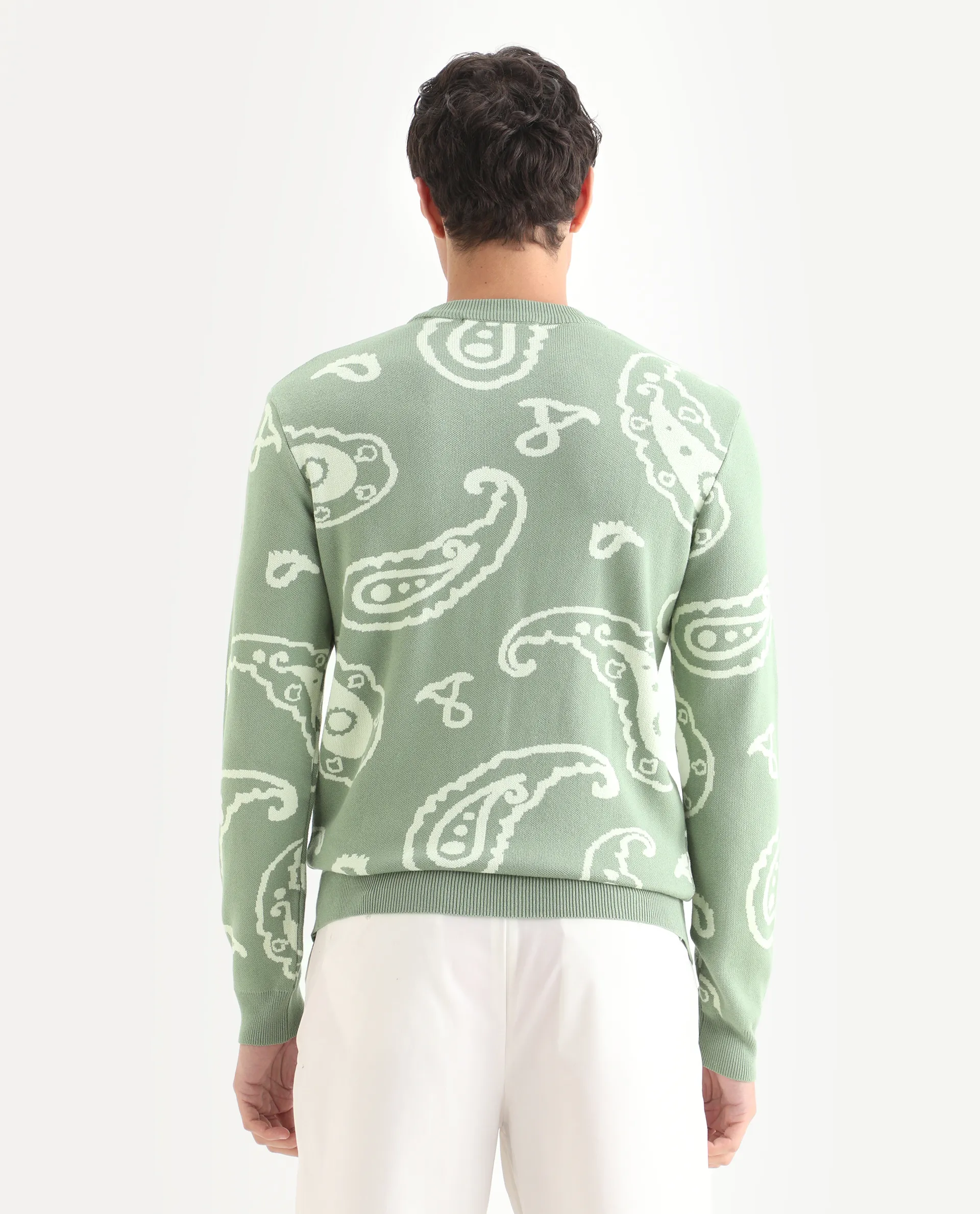 Rare Rabbit Men's Tori Light Green Viscose Jacquard Relaxed Fit Full Sleeve Crew Neck Sweater - Image 7