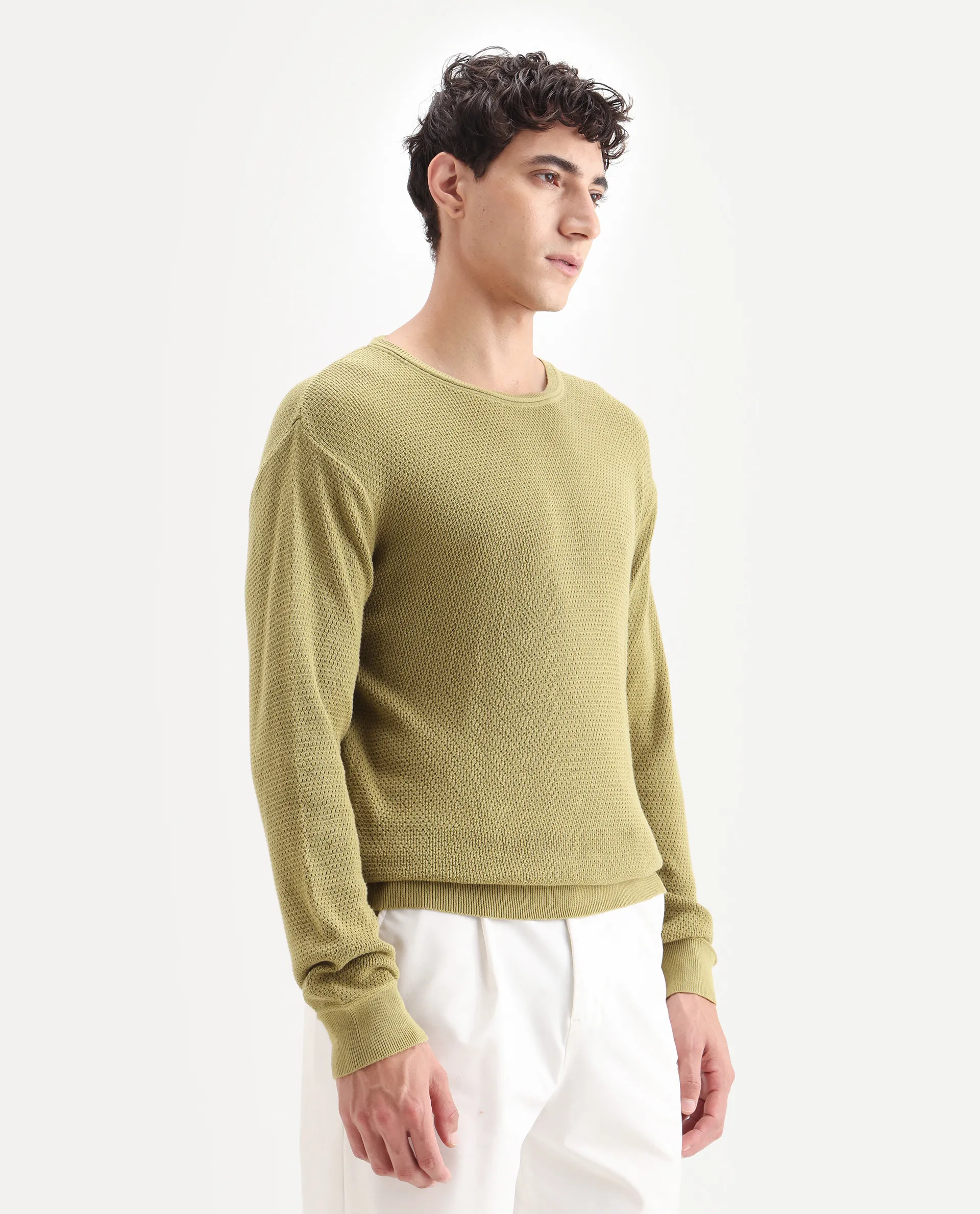 Rare Rabbit Men's Torino Green Cotton Plain Regular Fit Full Sleeve Crew Neck Sweater - Image 6
