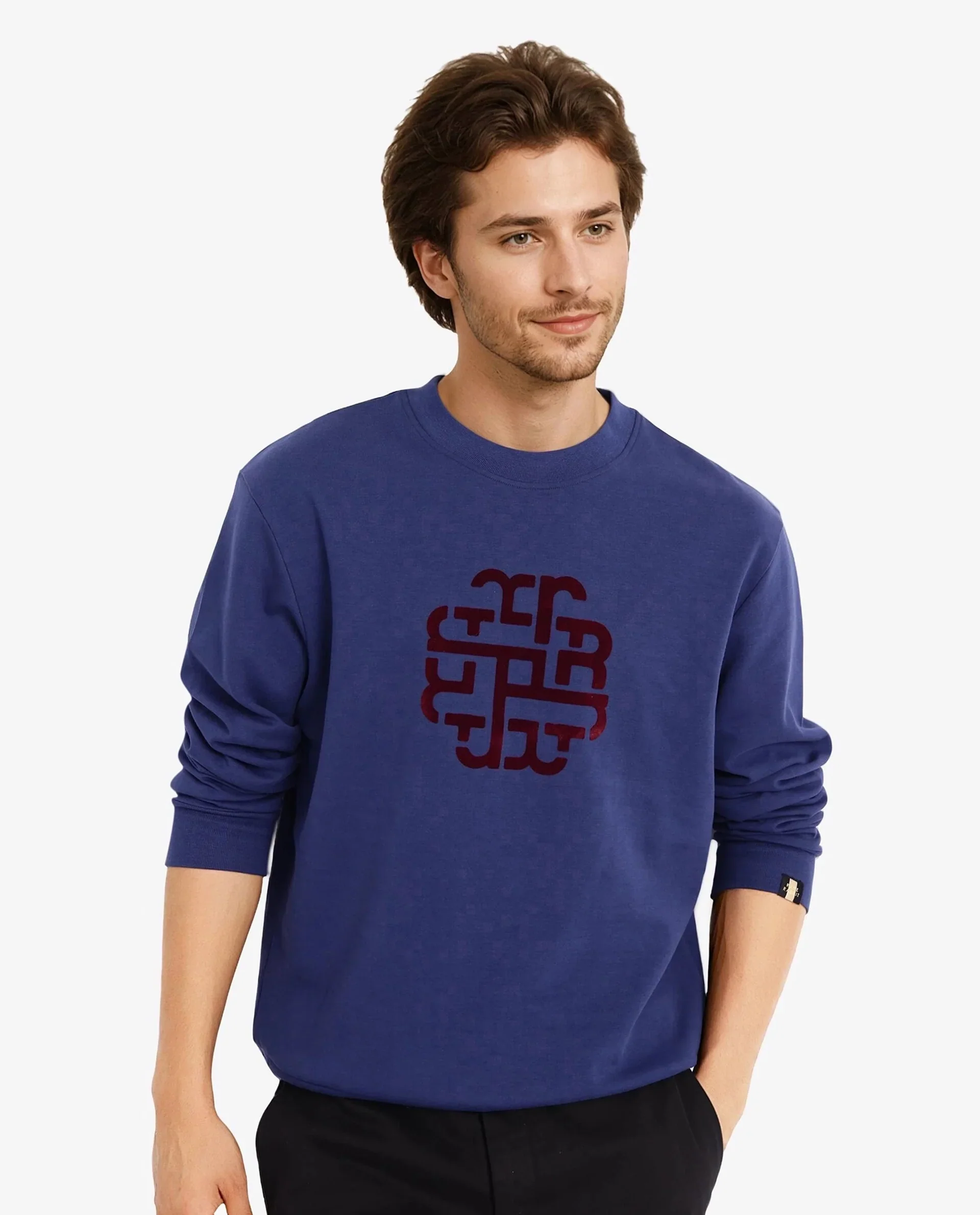 Rare Rabbit Men's Toxon Navy Cotton Blend Graphic Print Regular Fit Full Sleeve Crew Neck Sweatshirt - Image 5