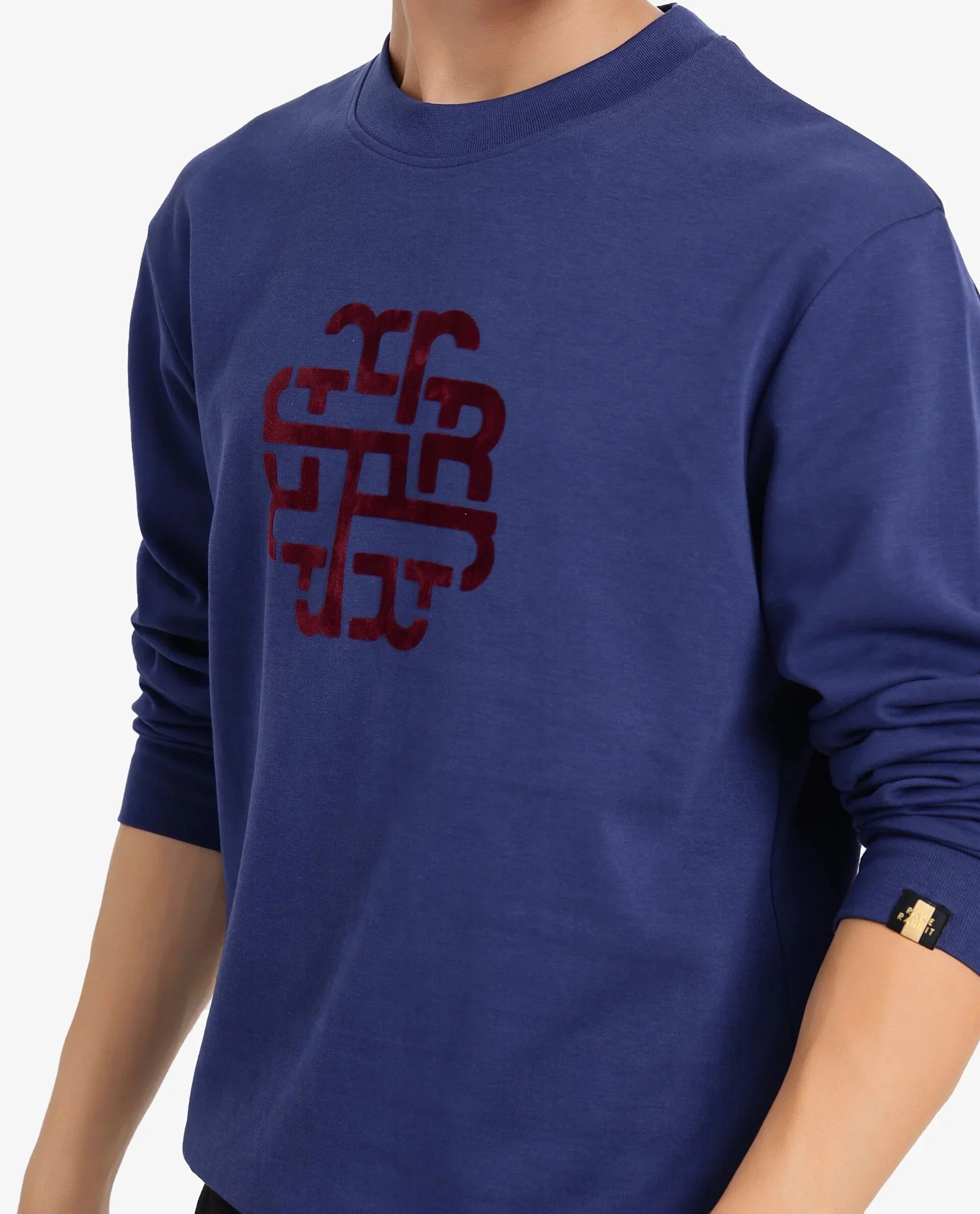 Rare Rabbit Men's Toxon Navy Cotton Blend Graphic Print Regular Fit Full Sleeve Crew Neck Sweatshirt - Image 6