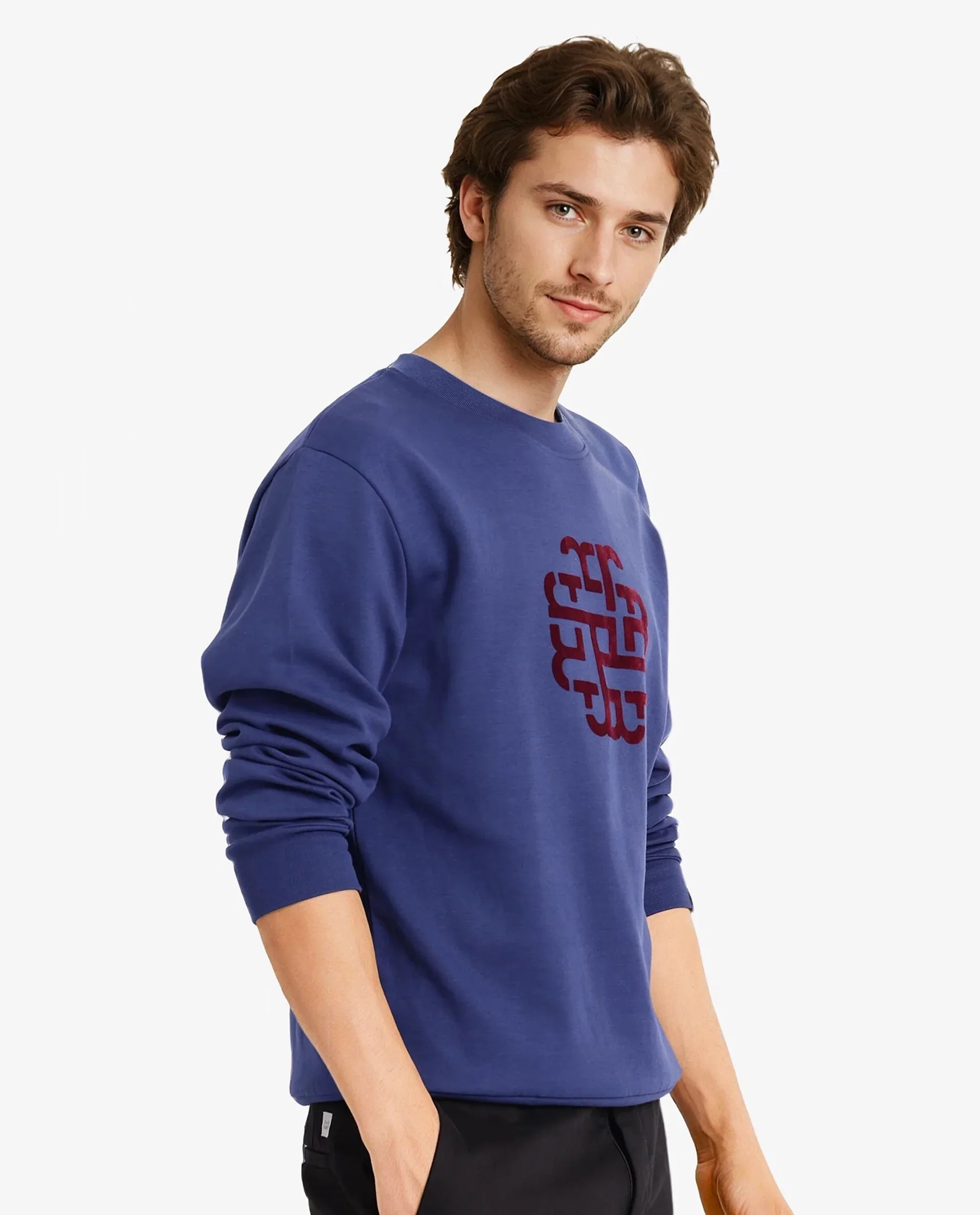 Rare Rabbit Men's Toxon Navy Cotton Blend Graphic Print Regular Fit Full Sleeve Crew Neck Sweatshirt - Image 7