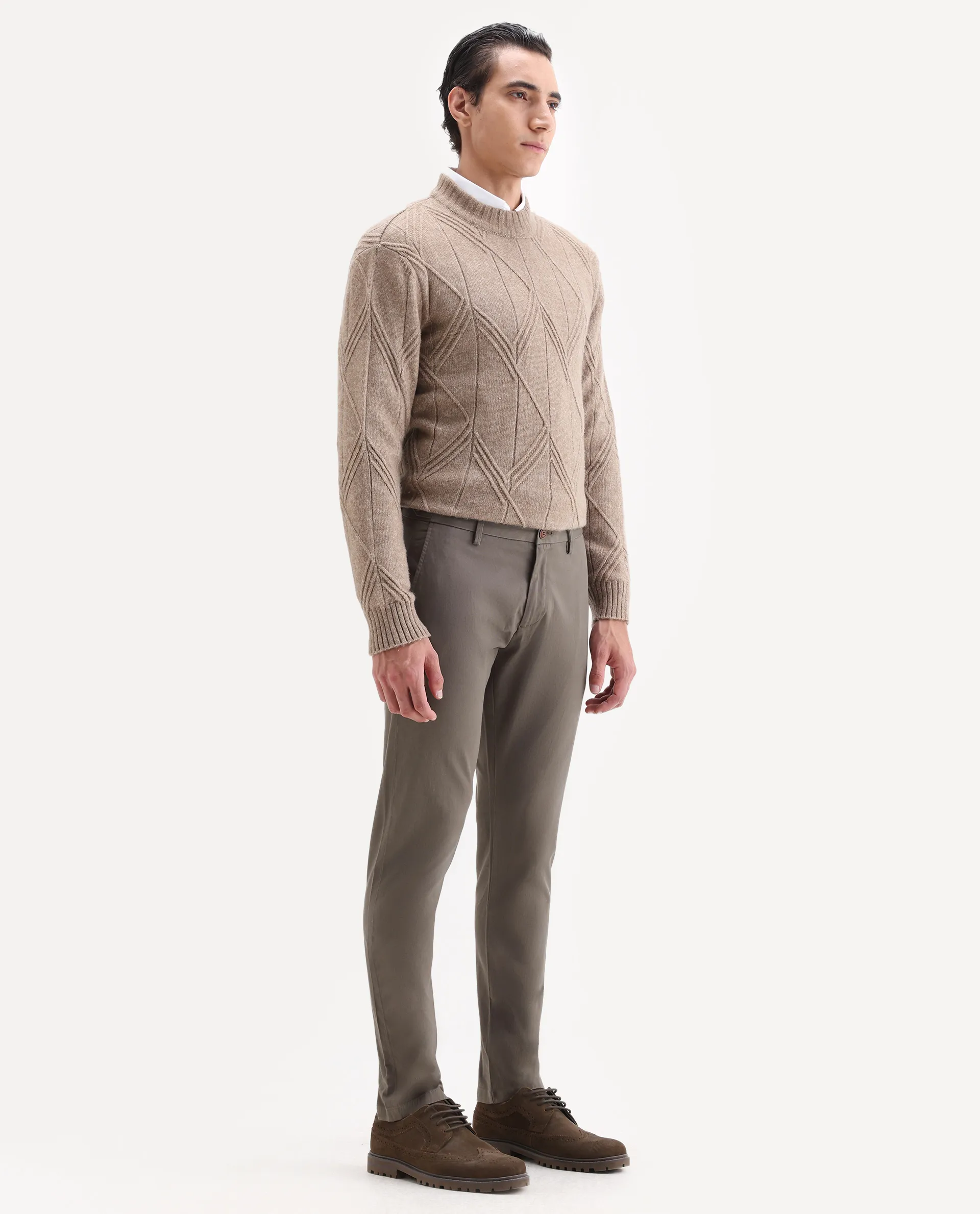 Rare Rabbit Men's Trans Khaki Cotton Plain Regular Fit Trouser - Image 6