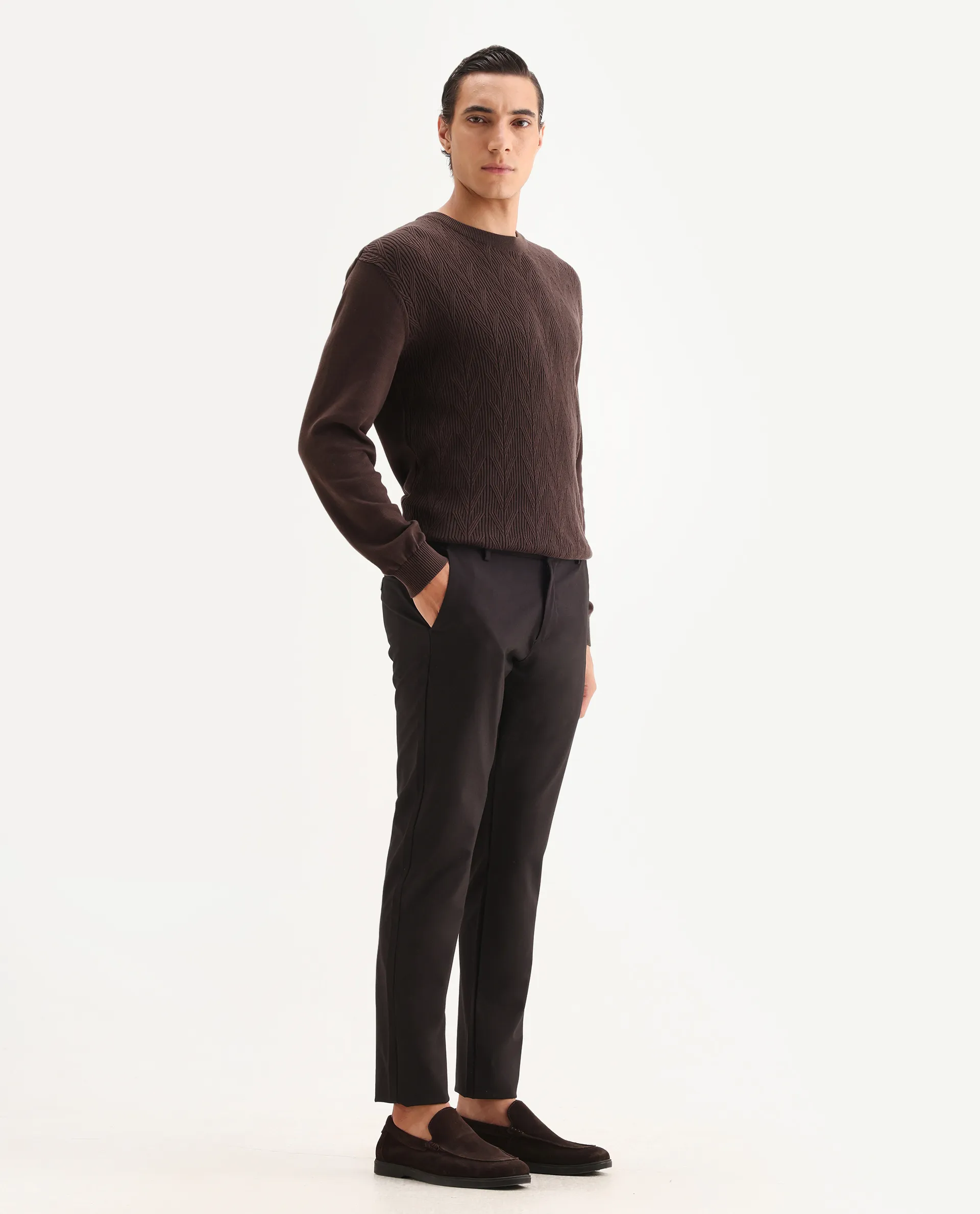 Rare Rabbit Mens Travel-24 Maroon Polyester Viscose Lycra Fabric Mid Rise Regular Fit Solid Trousers - Image 6