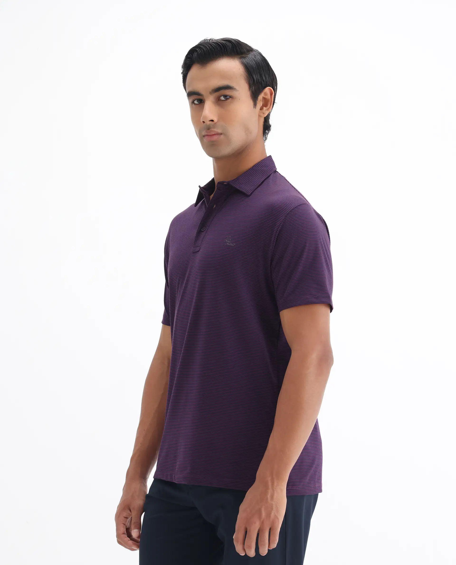 Rare Rabbit Men's Tunas Dark Purple Cotton Striped Print Regular Fit Half Sleeve Polo - Image 6