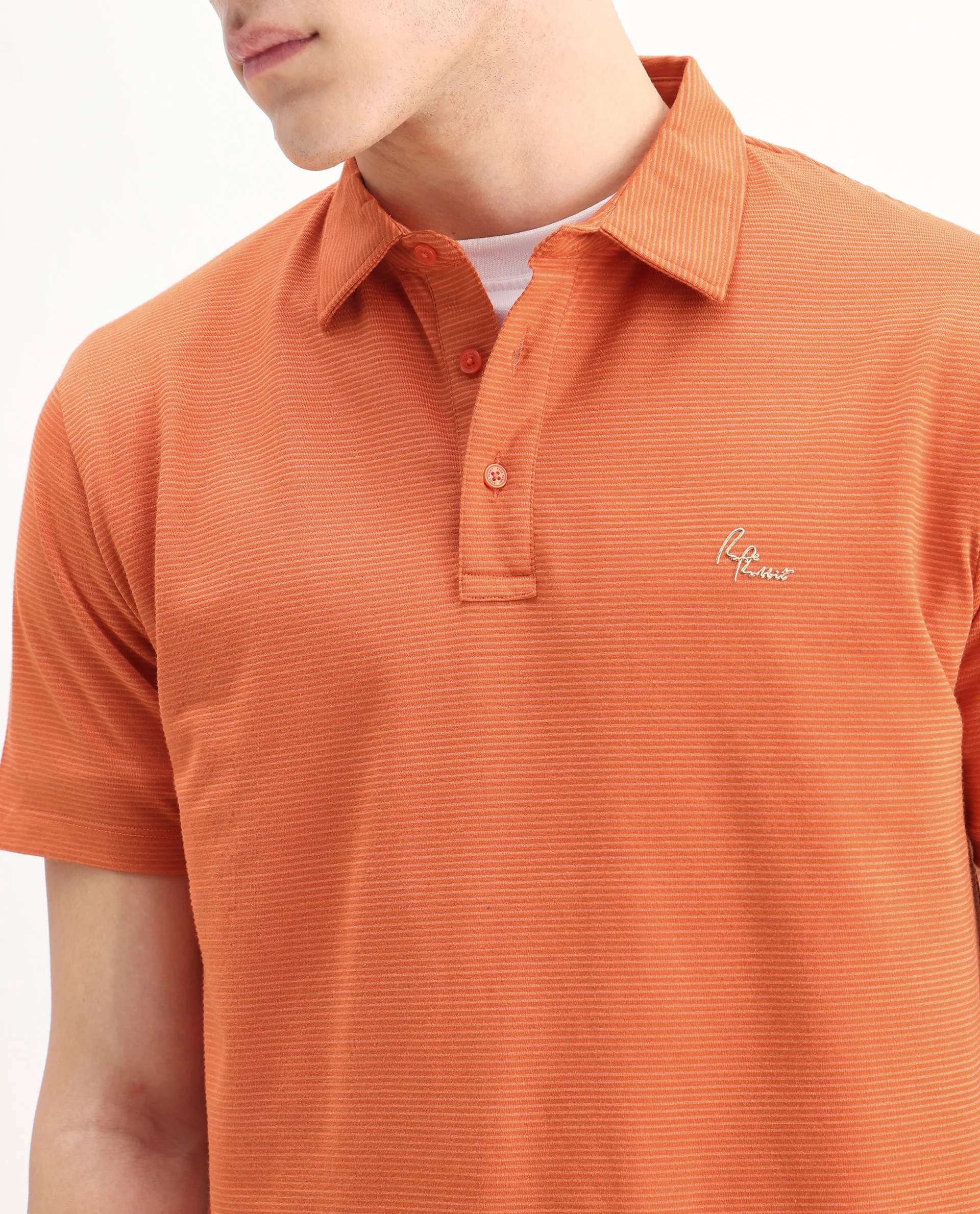 Rare Rabbit Men's Tunas Dark Rust Cotton Striped Print Regular Fit Half Sleeve Polo - Image 4