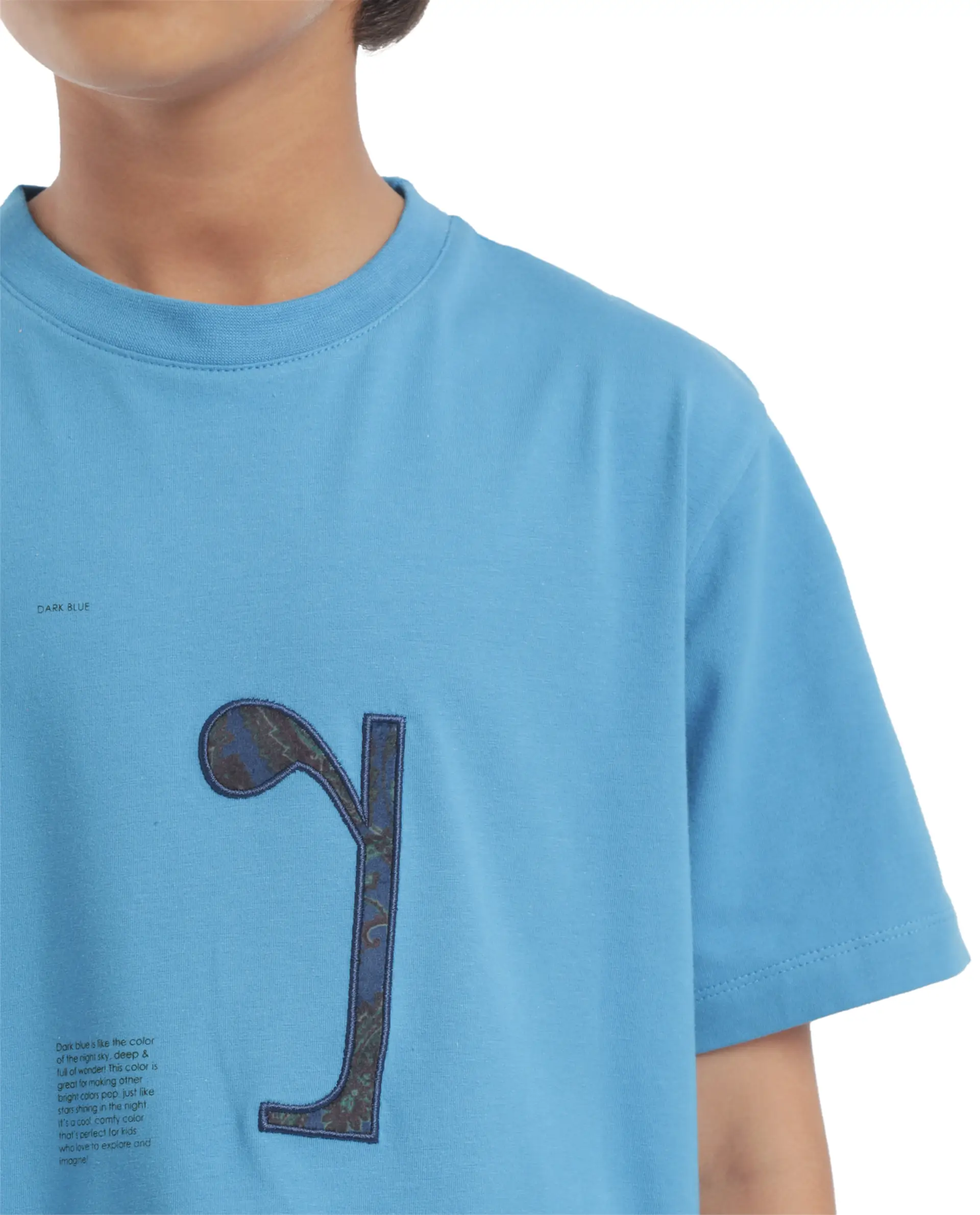 Rare Ones Kids Vel Blue Cotton Blend Half Sleeves Crew Neck Embroidered Print T-Shirt - Image 5