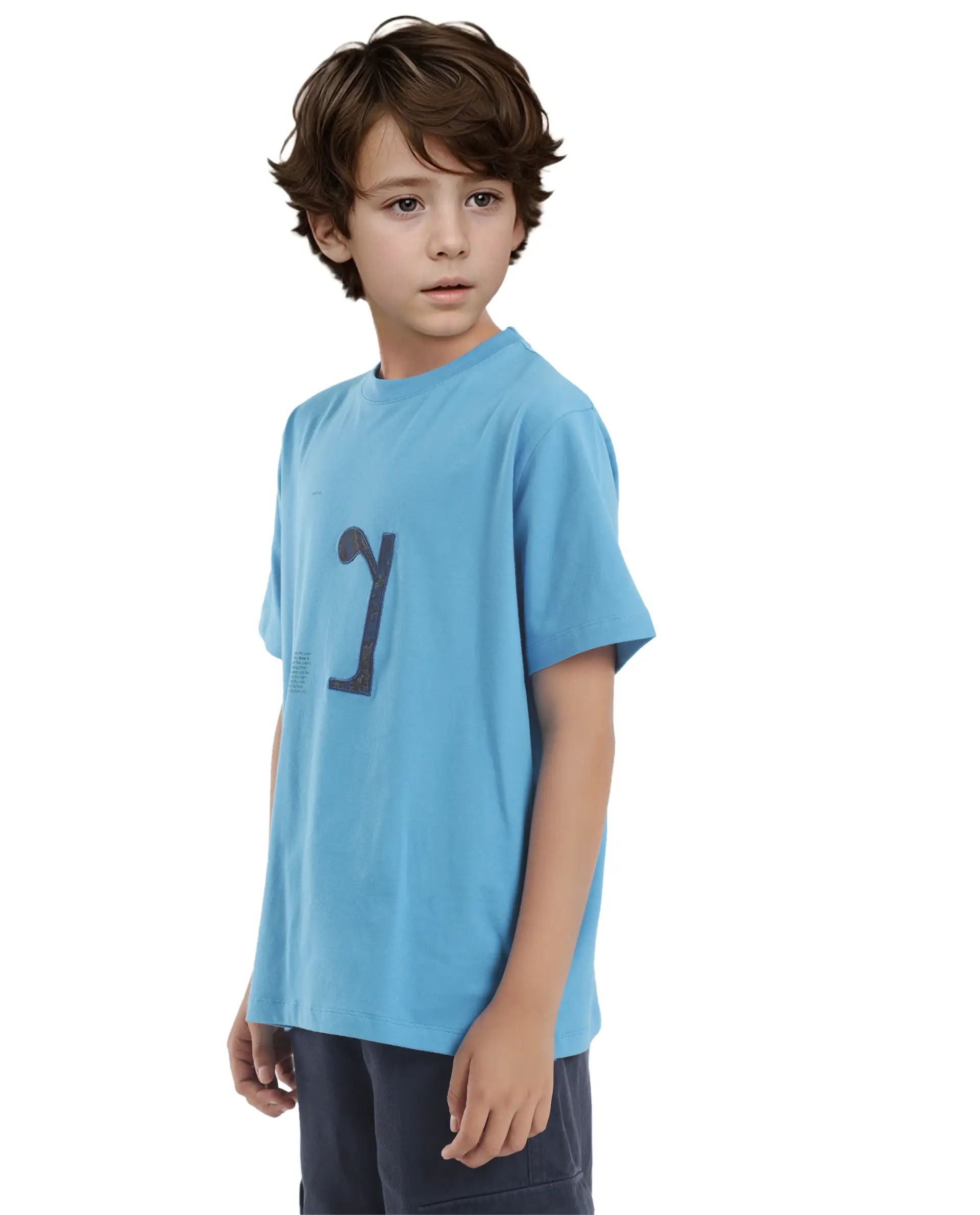 Rare Ones Kids Vel Blue Cotton Blend Half Sleeves Crew Neck Embroidered Print T-Shirt - Image 7