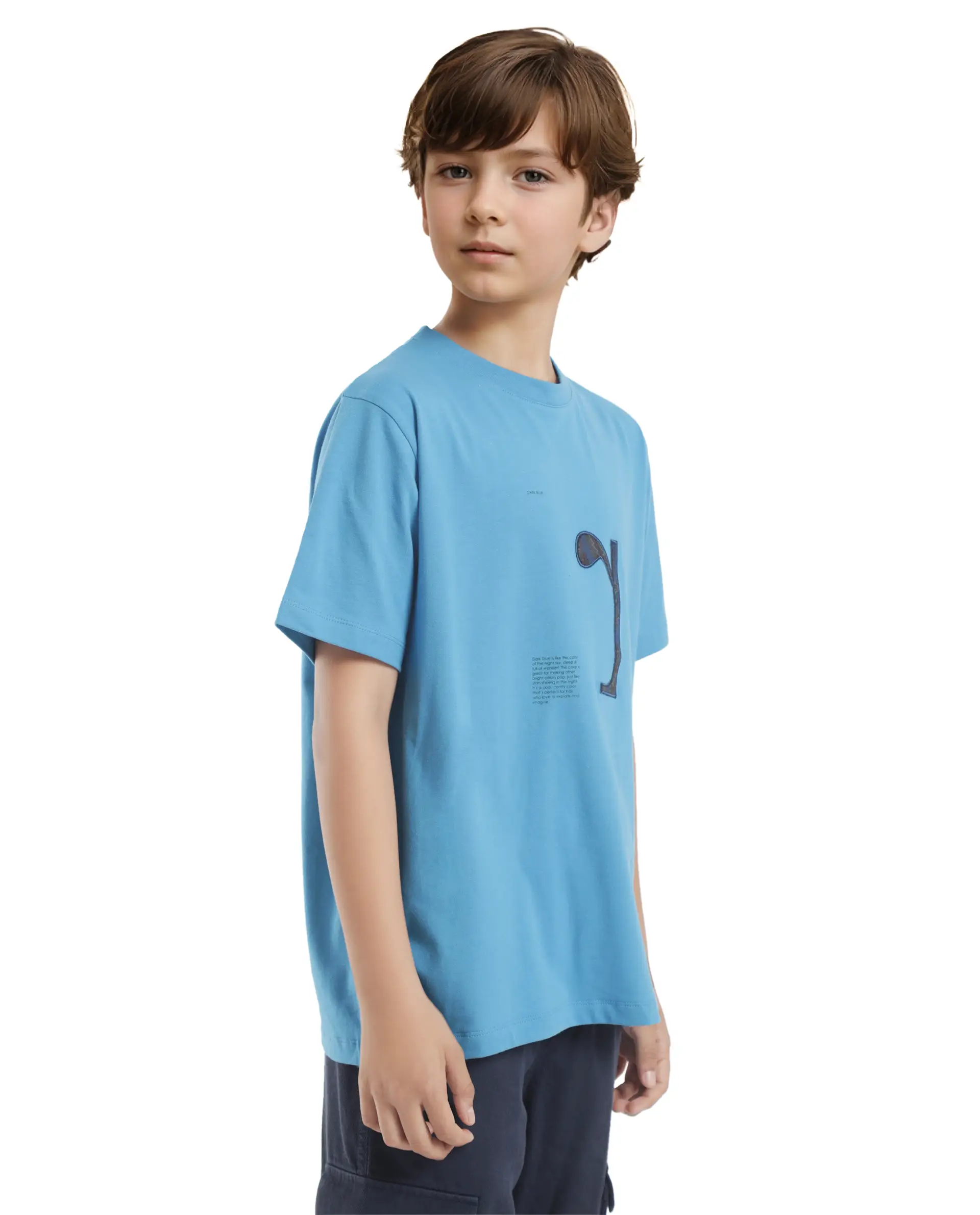 Rare Ones Kids Vel Blue Cotton Blend Half Sleeves Crew Neck Embroidered Print T-Shirt - Image 8
