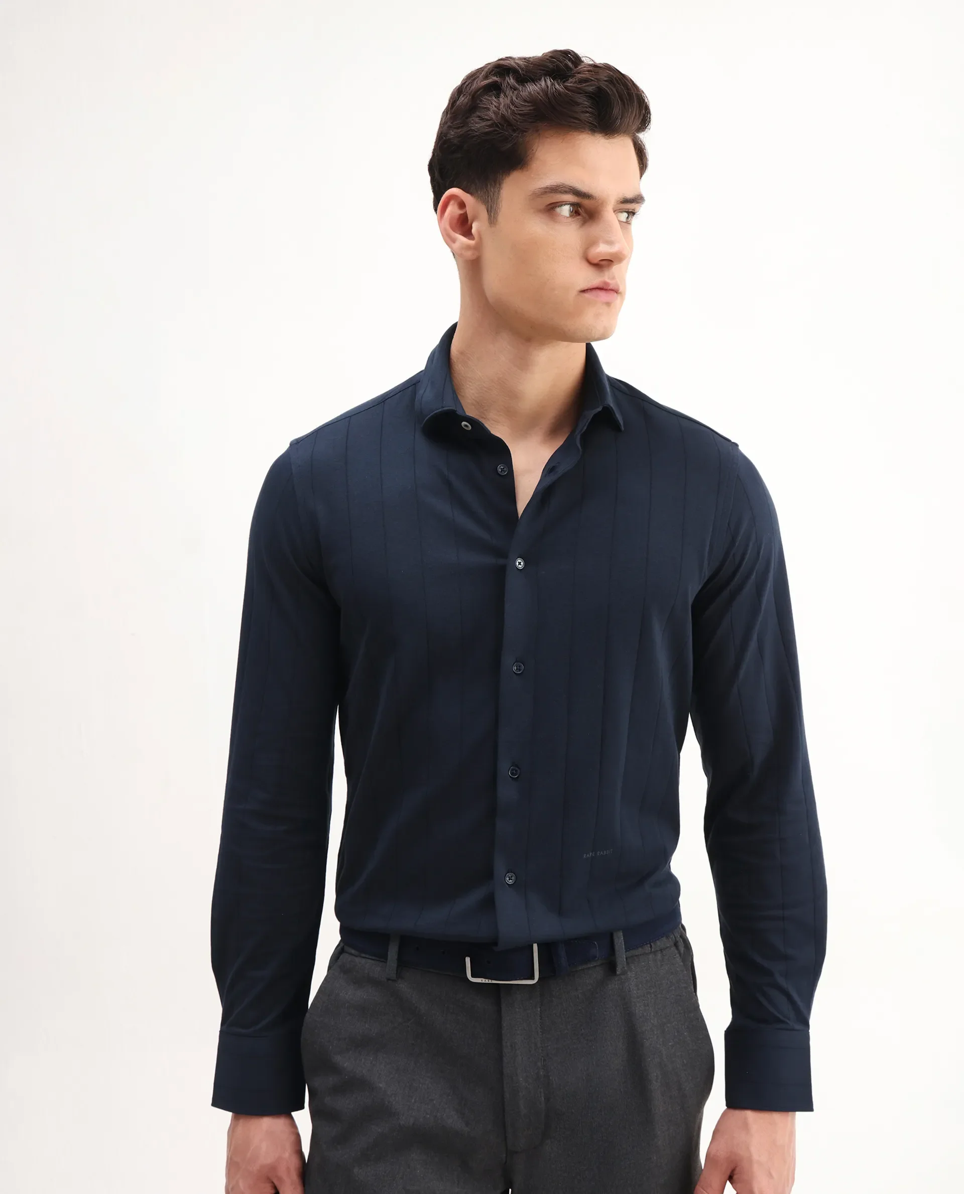 Rare Rabbit Men's Vert-Ls-25 Navy Cotton Blend Striped Print Regular Fit Full Sleeve Collared Shirt