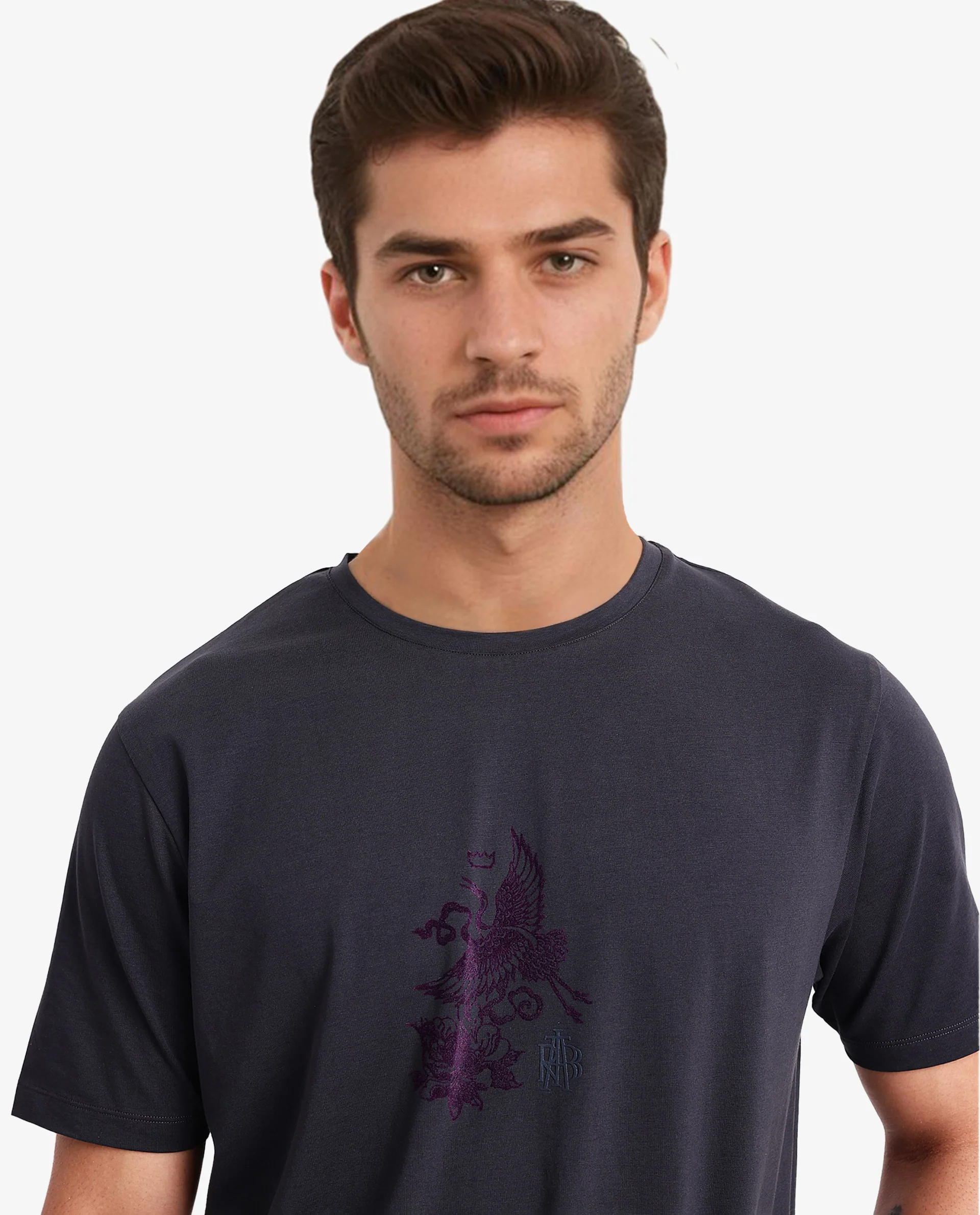 Rare Rabbit Men's Volvo Dark Grey Cotton Graphic Print Regular Fit Half Sleeve Crew Neck T-Shirt - Image 4