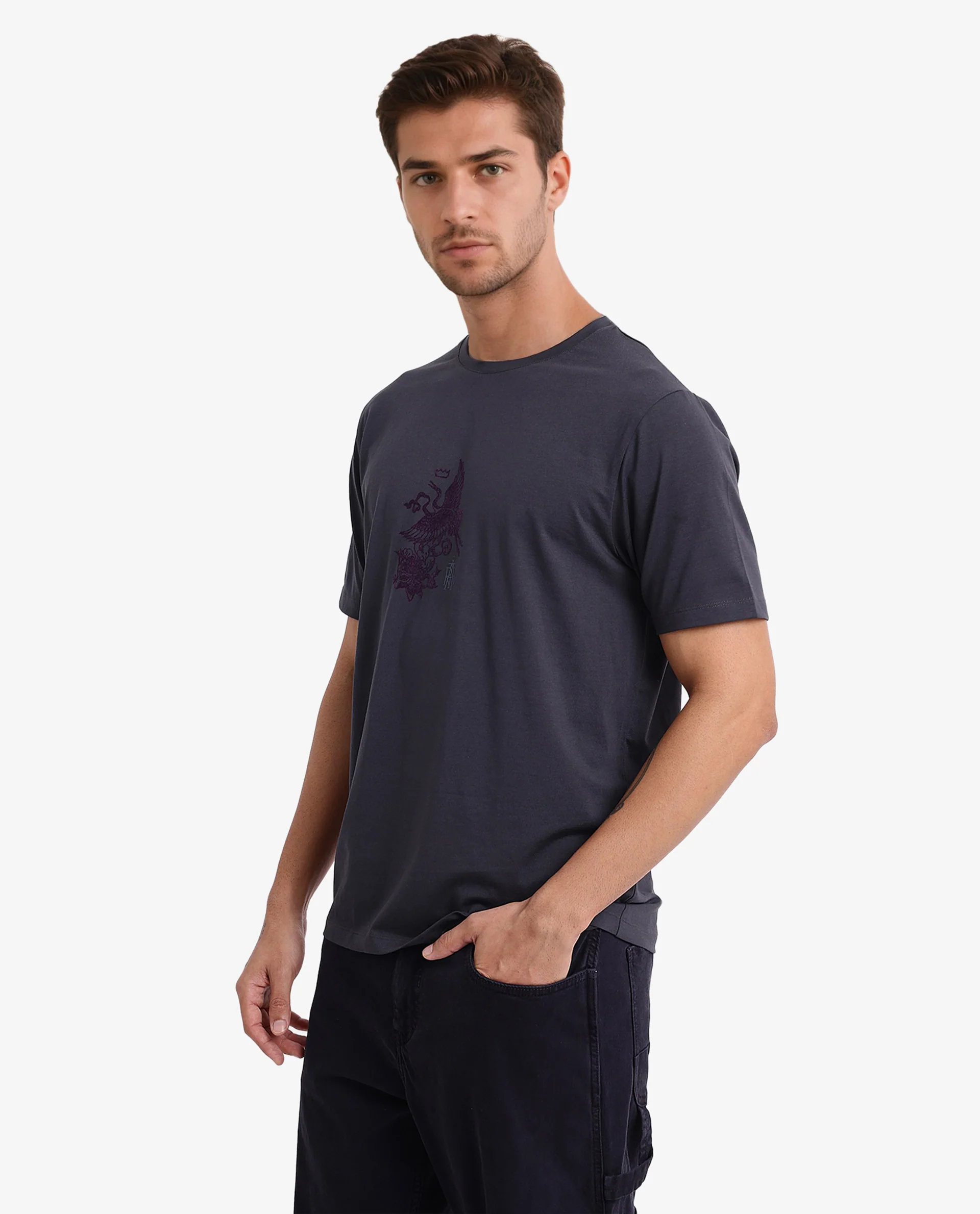Rare Rabbit Men's Volvo Dark Grey Cotton Graphic Print Regular Fit Half Sleeve Crew Neck T-Shirt - Image 5