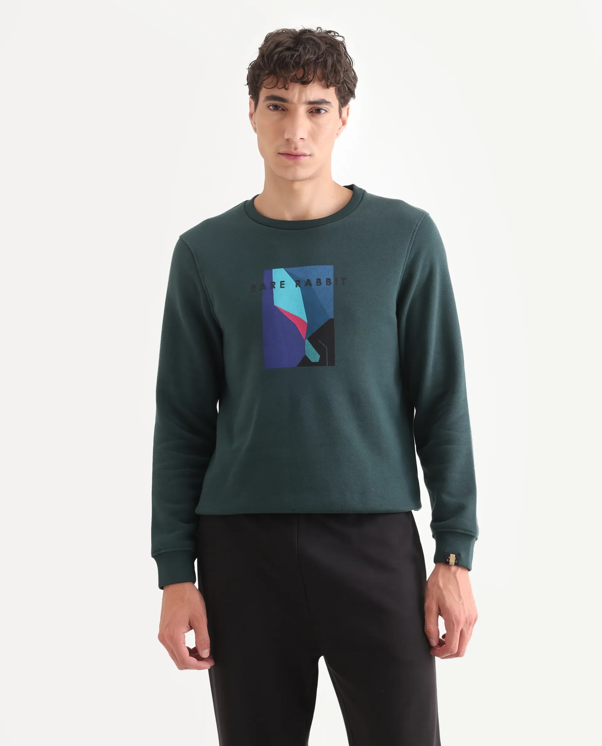 Rare Rabbit Men's Winfred Green Cotton Graphic Print Regular Fit Full Sleeve Crew Neck Sweatshirt - Image 3