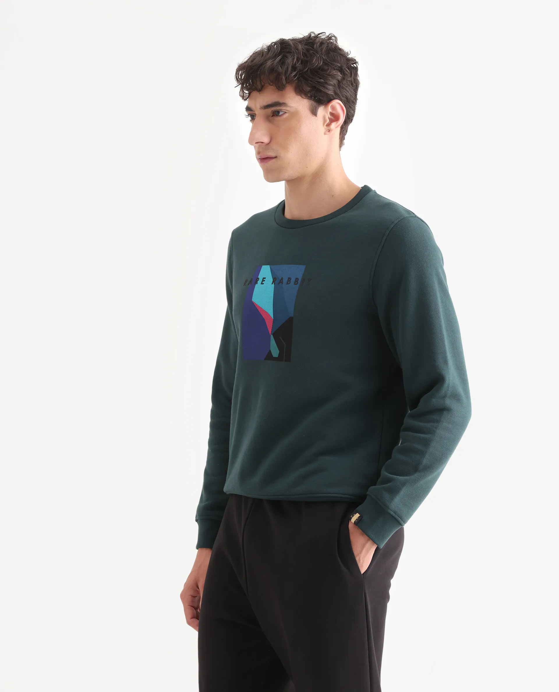 Rare Rabbit Men's Winfred Green Cotton Graphic Print Regular Fit Full Sleeve Crew Neck Sweatshirt - Image 5