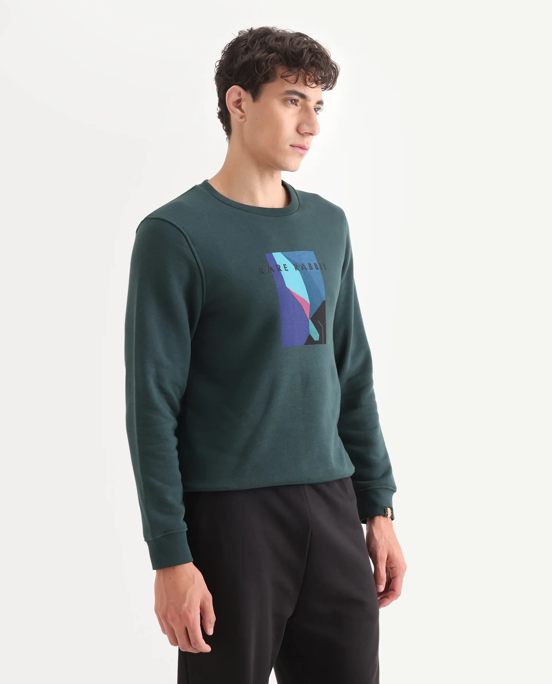 Rare Rabbit Men's Winfred Green Cotton Graphic Print Regular Fit Full Sleeve Crew Neck Sweatshirt - Image 6