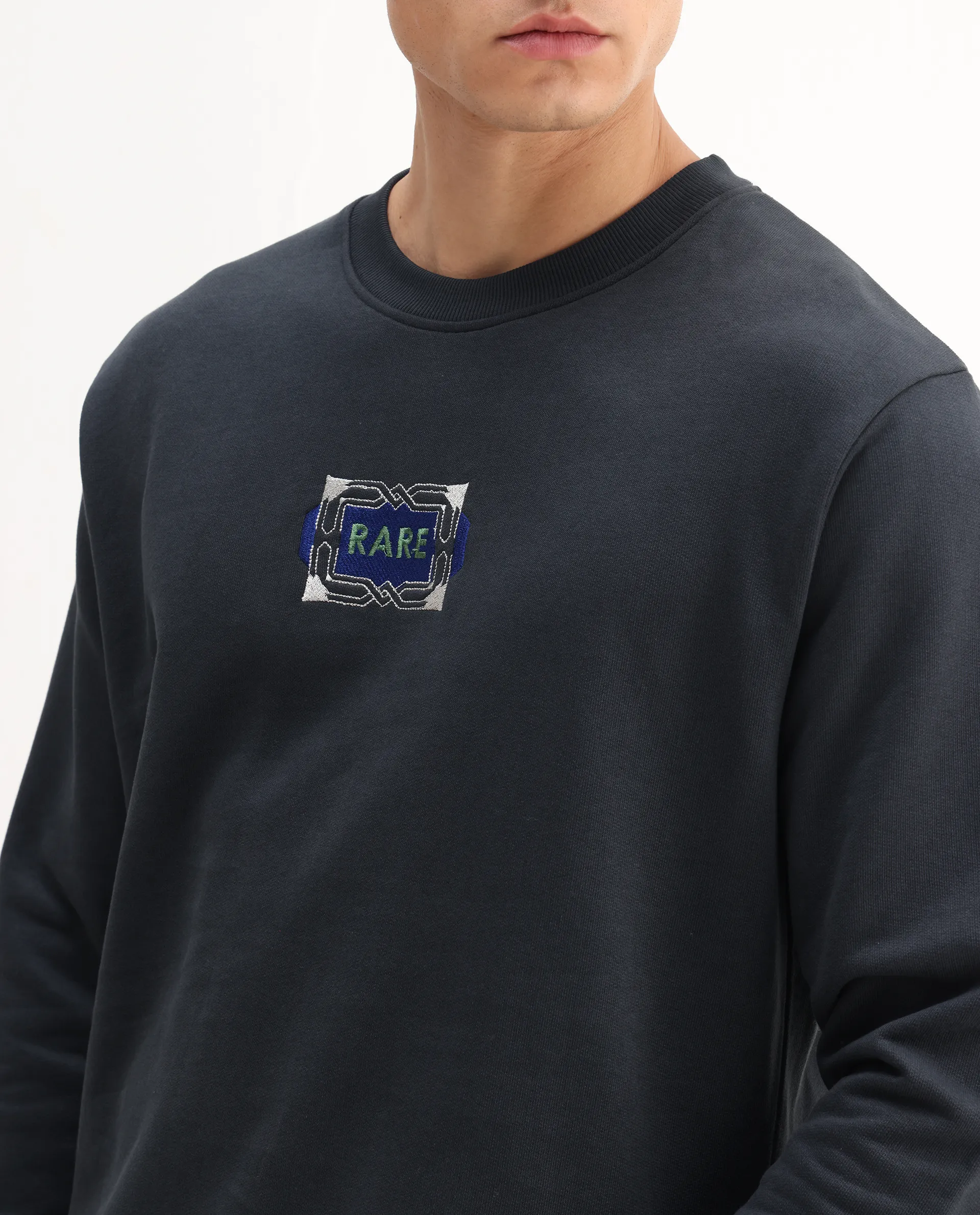 Rare Rabbit Men's Wolf Dark Grey Cotton Embroidered Regular Fit Full Sleeve Crew Neck Sweatshirt - Image 3