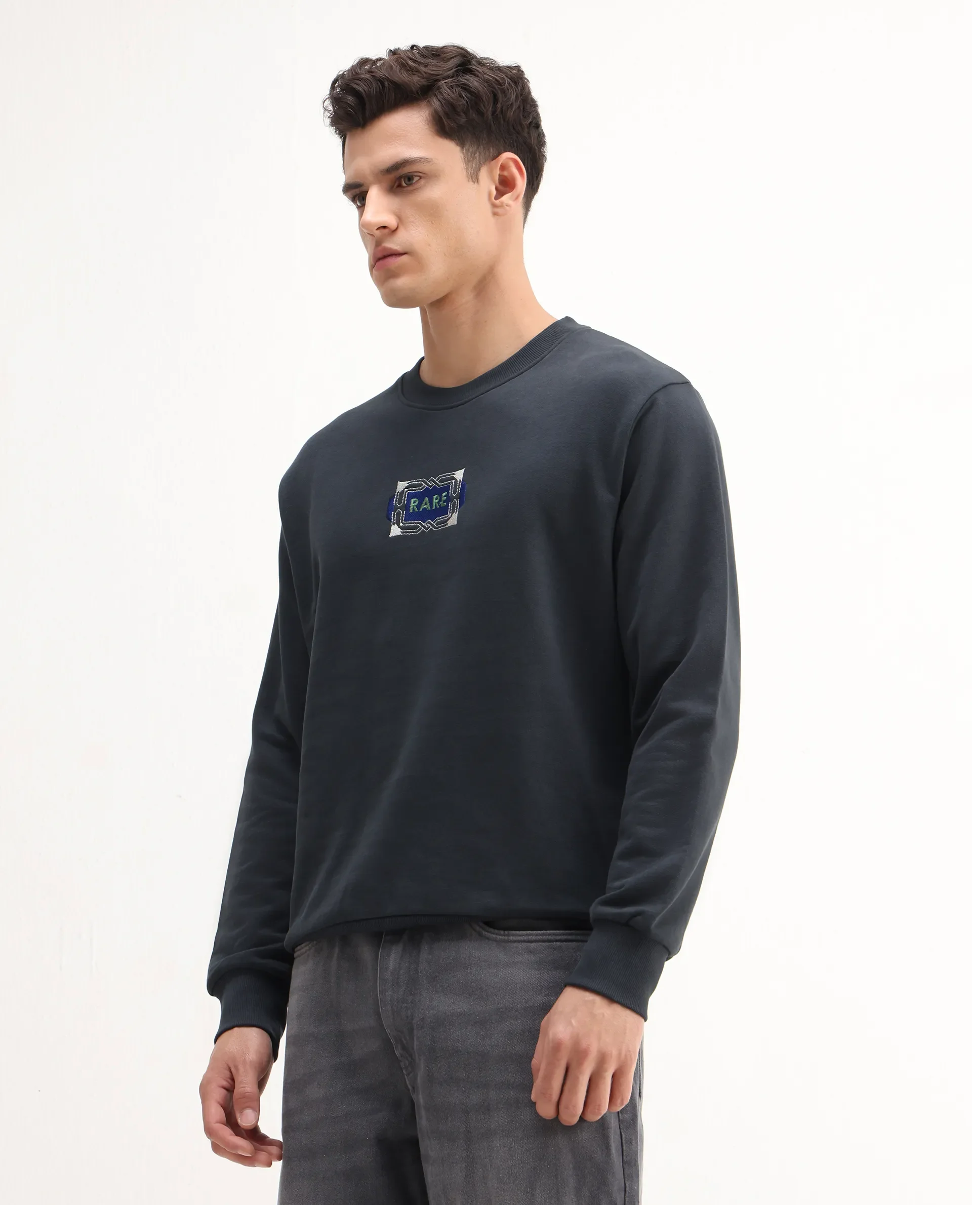 Rare Rabbit Men's Wolf Dark Grey Cotton Embroidered Regular Fit Full Sleeve Crew Neck Sweatshirt - Image 4