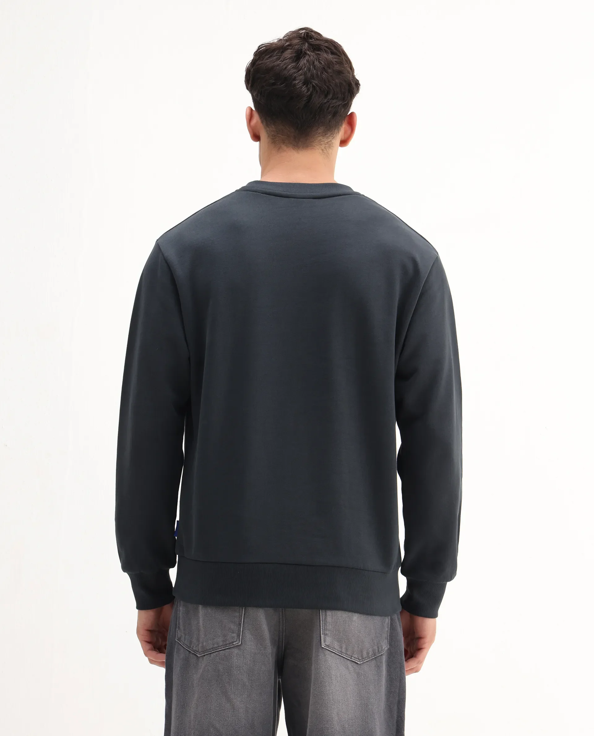 Rare Rabbit Men's Wolf Dark Grey Cotton Embroidered Regular Fit Full Sleeve Crew Neck Sweatshirt - Image 7