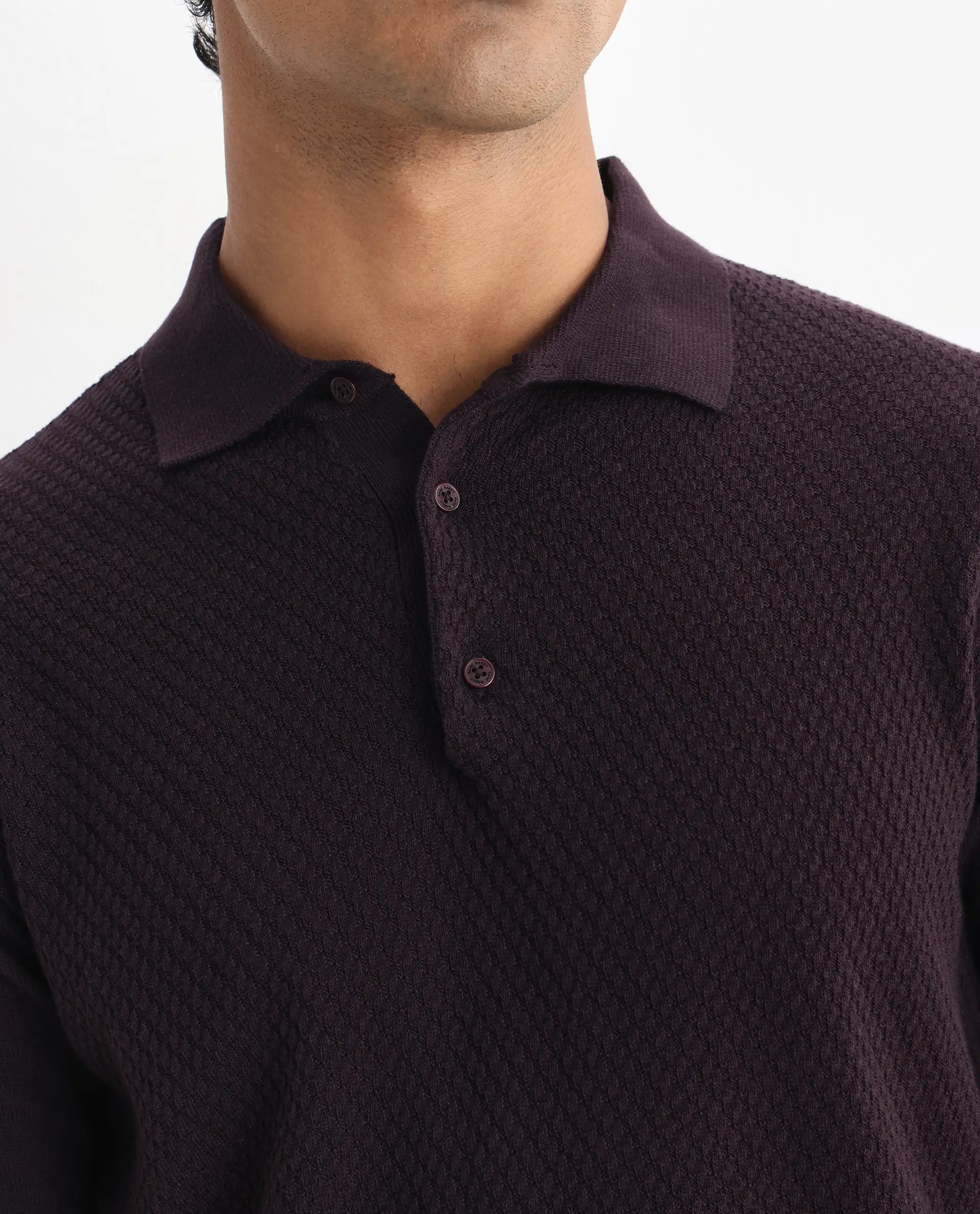 Rare Rabbit Men's Xas Dark Brown Cotton Plain Regular Fit Half Sleeve Polo - Image 3