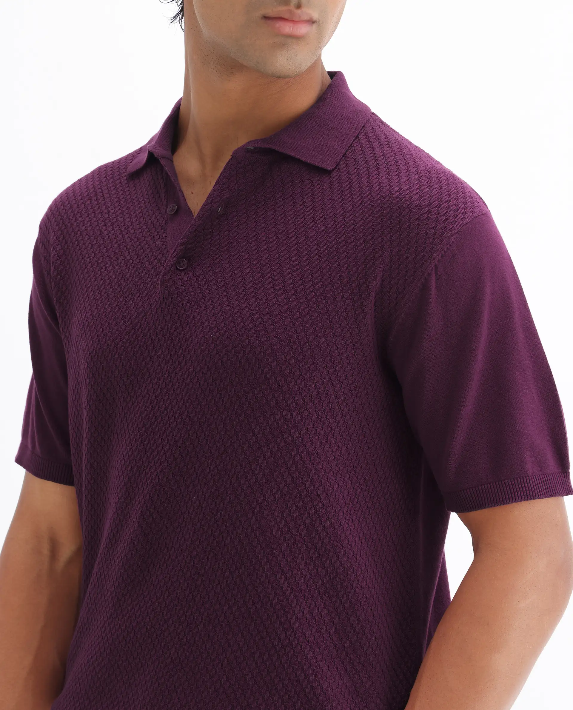 Rare Rabbit Men's Xas Dark Purple Cotton Textured Regular Fit Half Sleeve Polo - Image 3