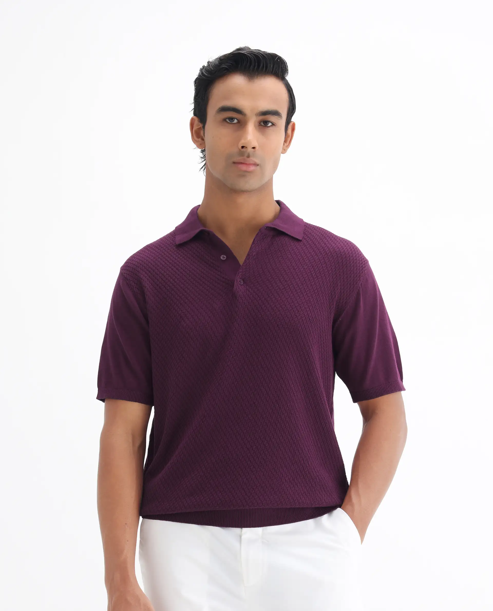 Rare Rabbit Men's Xas Dark Purple Cotton Textured Regular Fit Half Sleeve Polo - Image 4