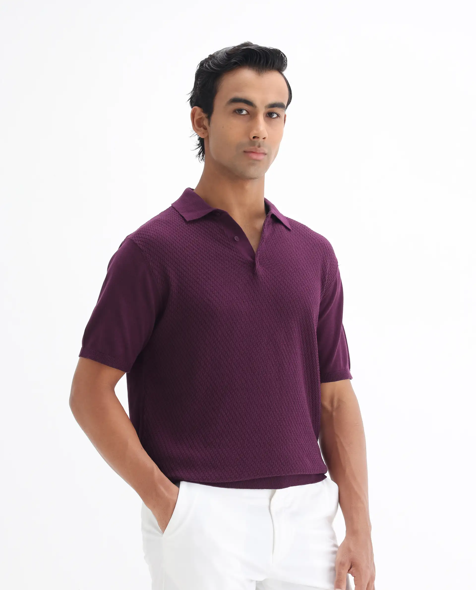 Rare Rabbit Men's Xas Dark Purple Cotton Textured Regular Fit Half Sleeve Polo - Image 5