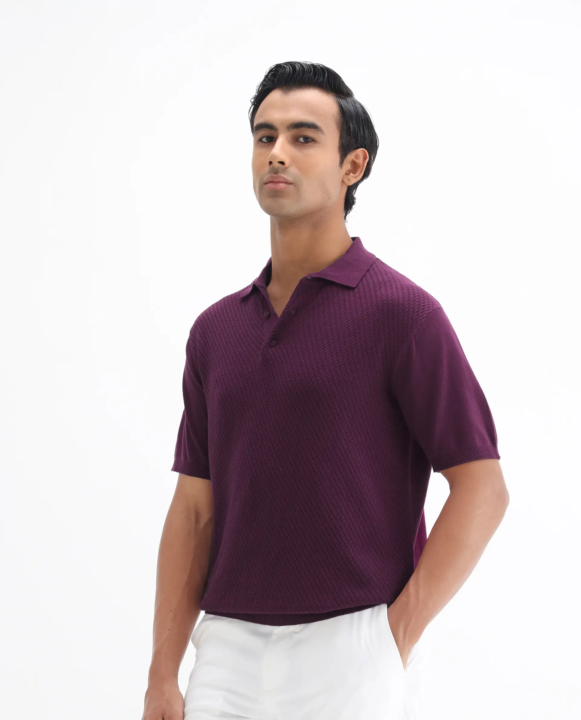 Rare Rabbit Men's Xas Dark Purple Cotton Textured Regular Fit Half Sleeve Polo - Image 6