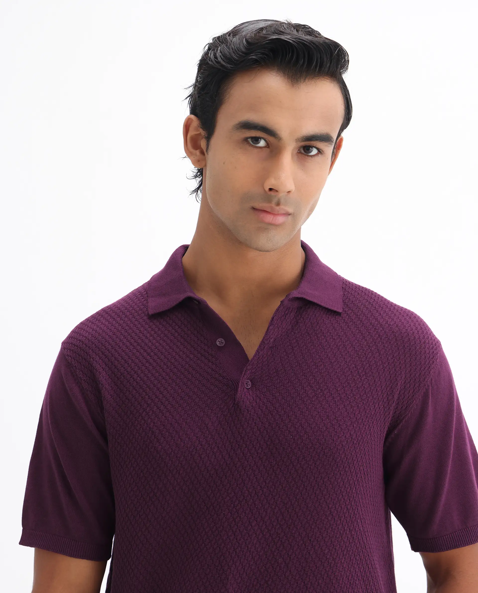 Rare Rabbit Men's Xas Dark Purple Cotton Textured Regular Fit Half Sleeve Polo - Image 7