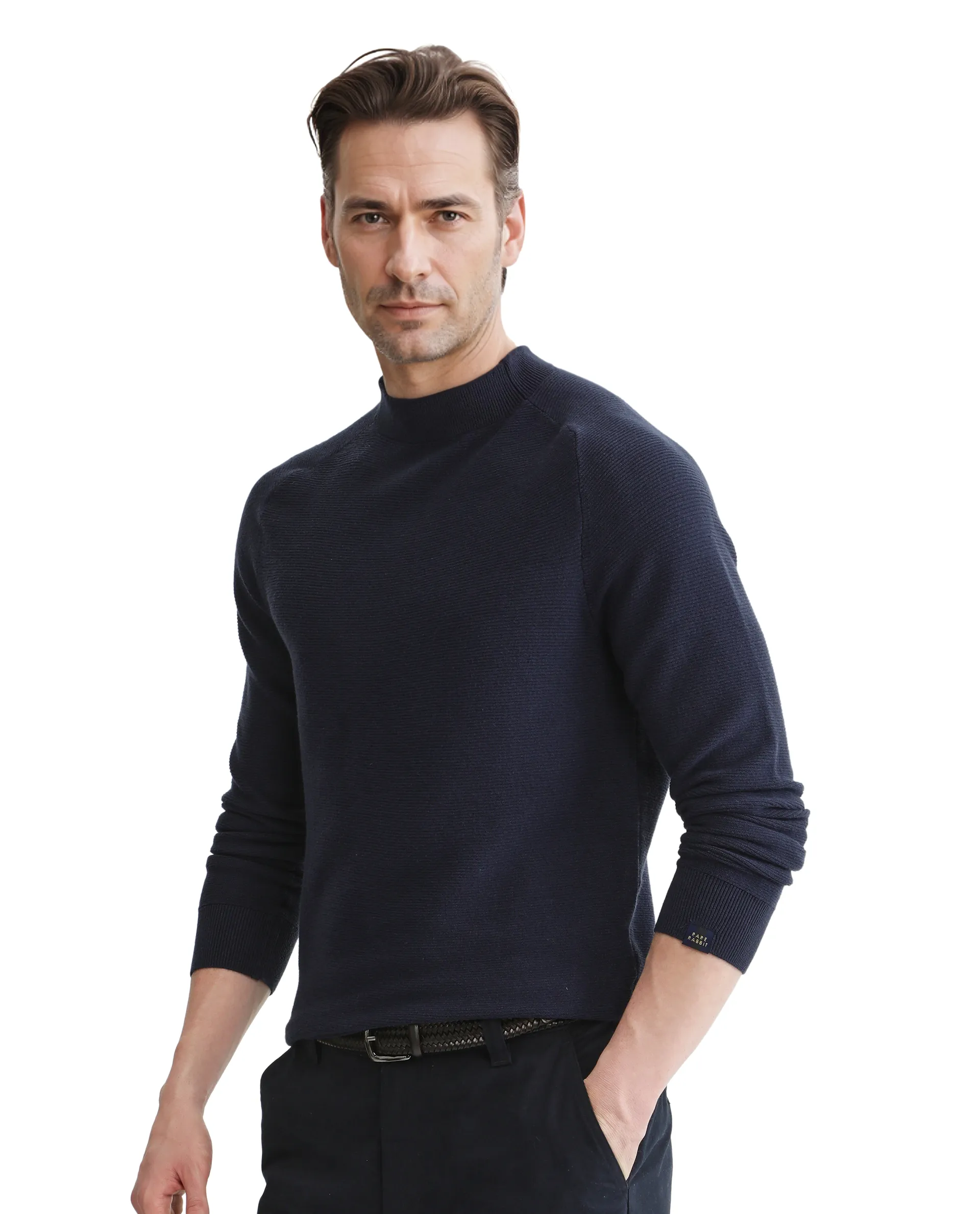 Rare Rabbit Men's Viscose Blend Plain Regular Fit Full Sleeve High Neck Sweater - Image 4